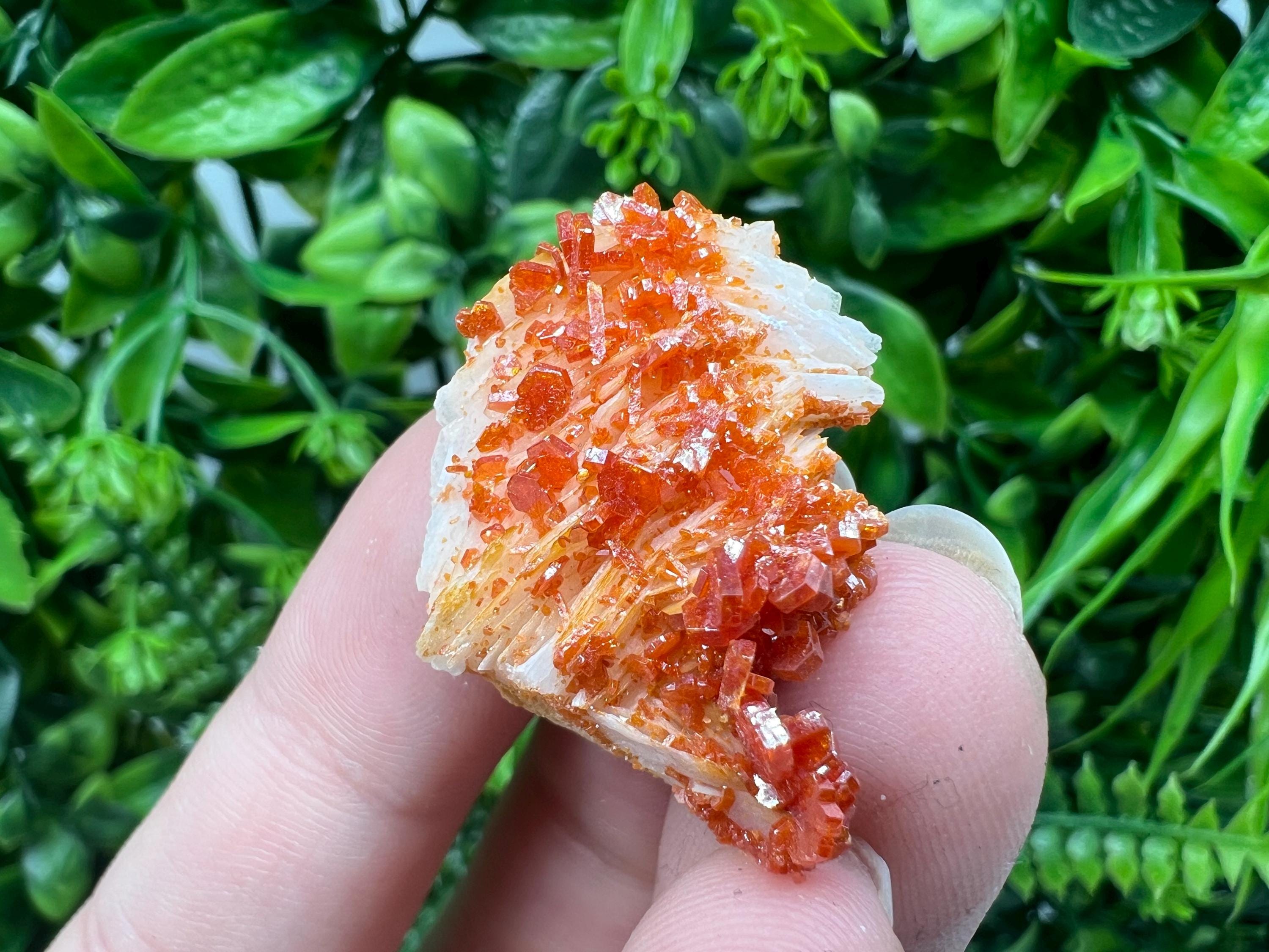 Red Vanadinite on Barite from Marocco,crystal minerals Speciment cluster Vanadinite crystal Vanadinite Geology Vanadinite cluster minerals