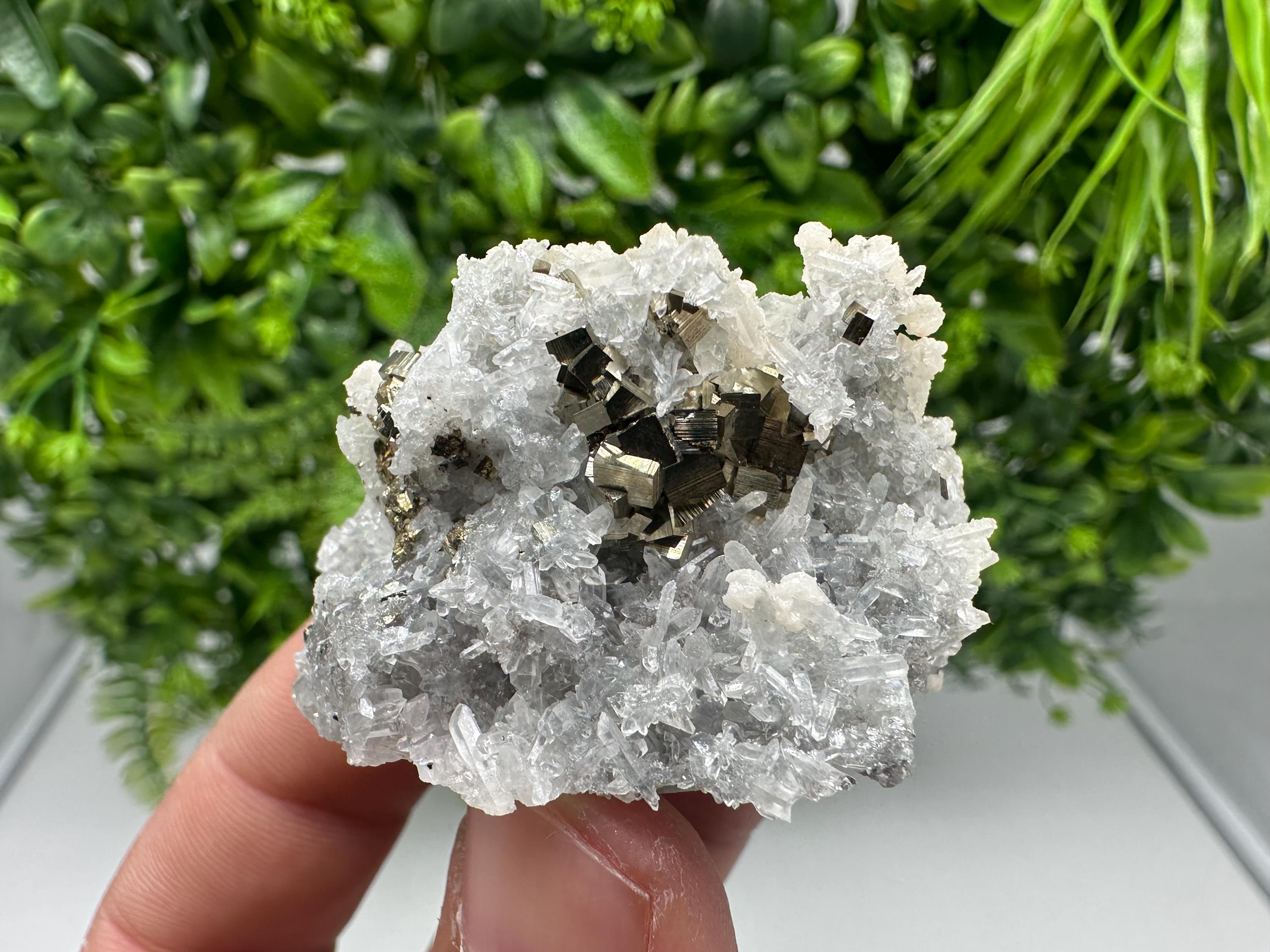 Pyrite on Green Quartz Mineral Specimen, Borieva Mine Bulgaria