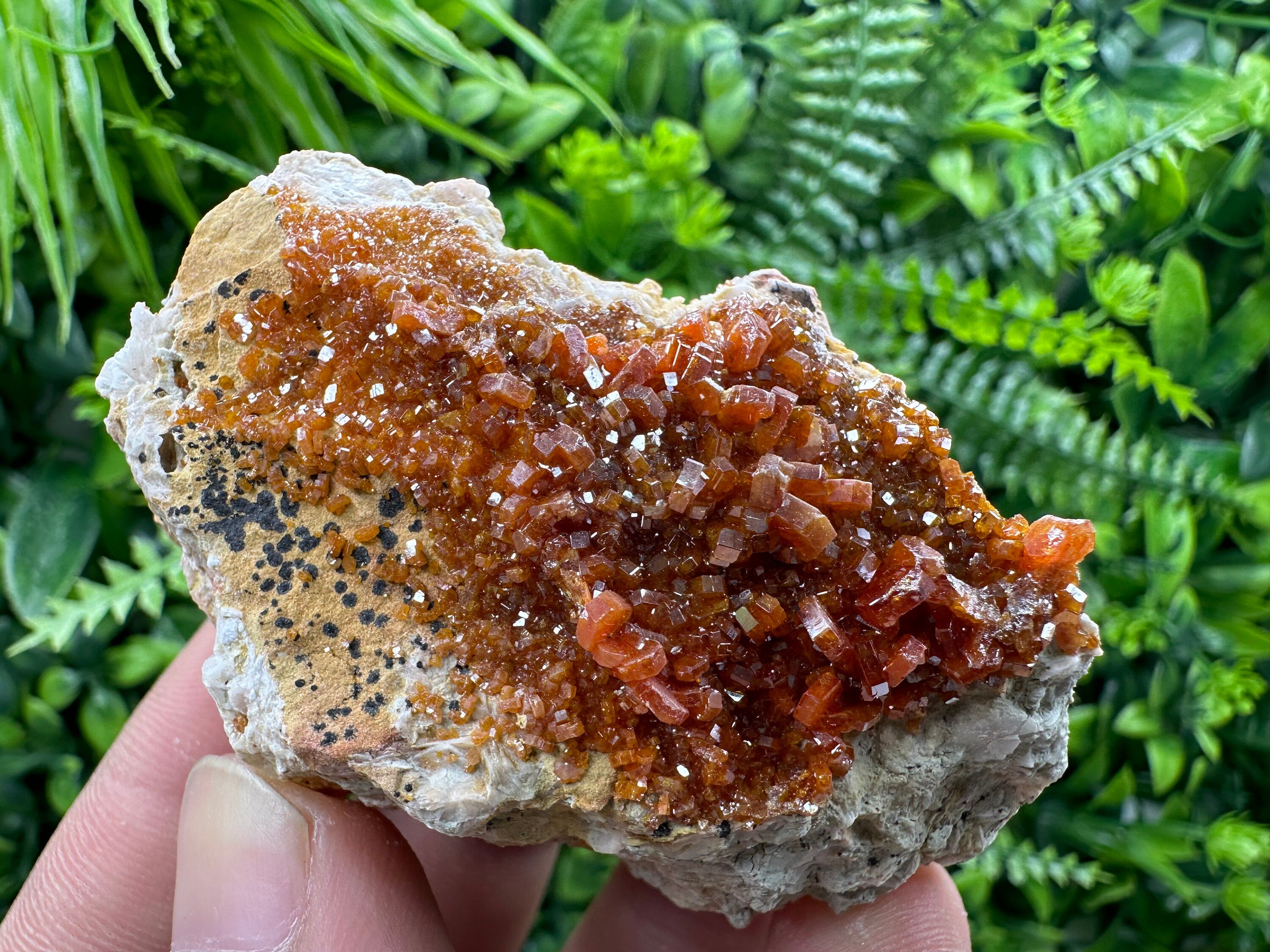 Red Vanadinite Crystal Cluster on Matrix, Morocco Mineral Specimen
