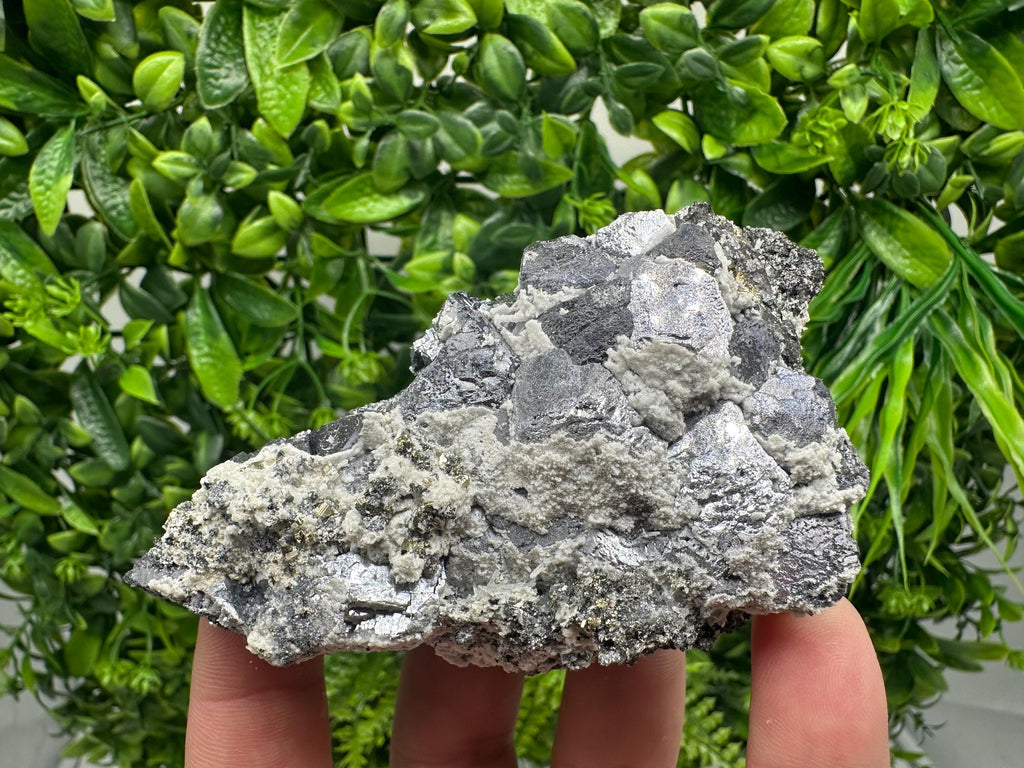 Galena with Quartz Specimen: Krushev Dol Mine, Bulgaria