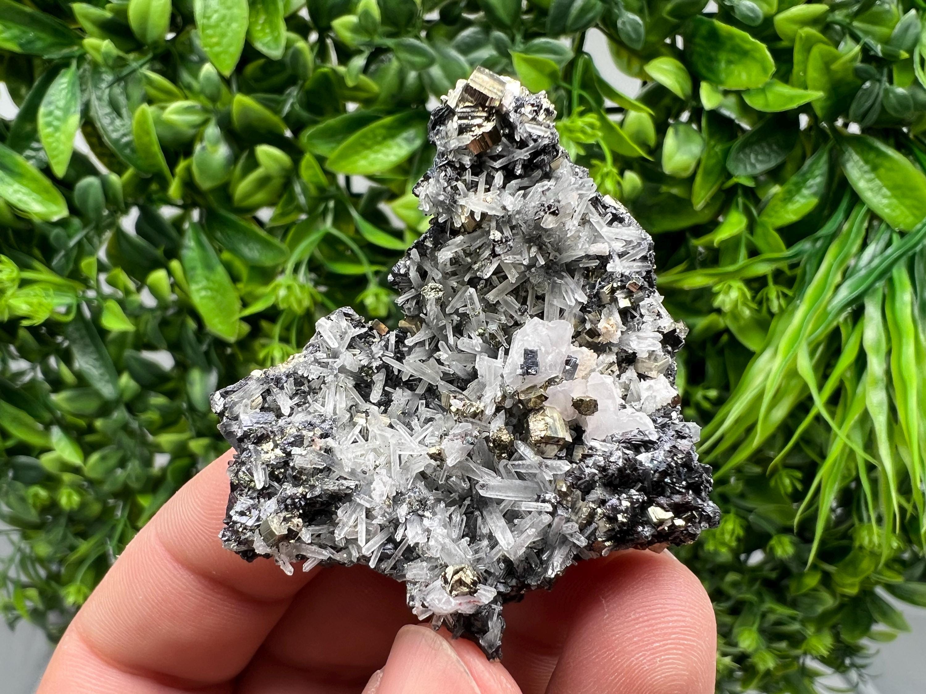 Pyrite on Green Quartz Mineral Specimen, Borieva Mine Bulgaria