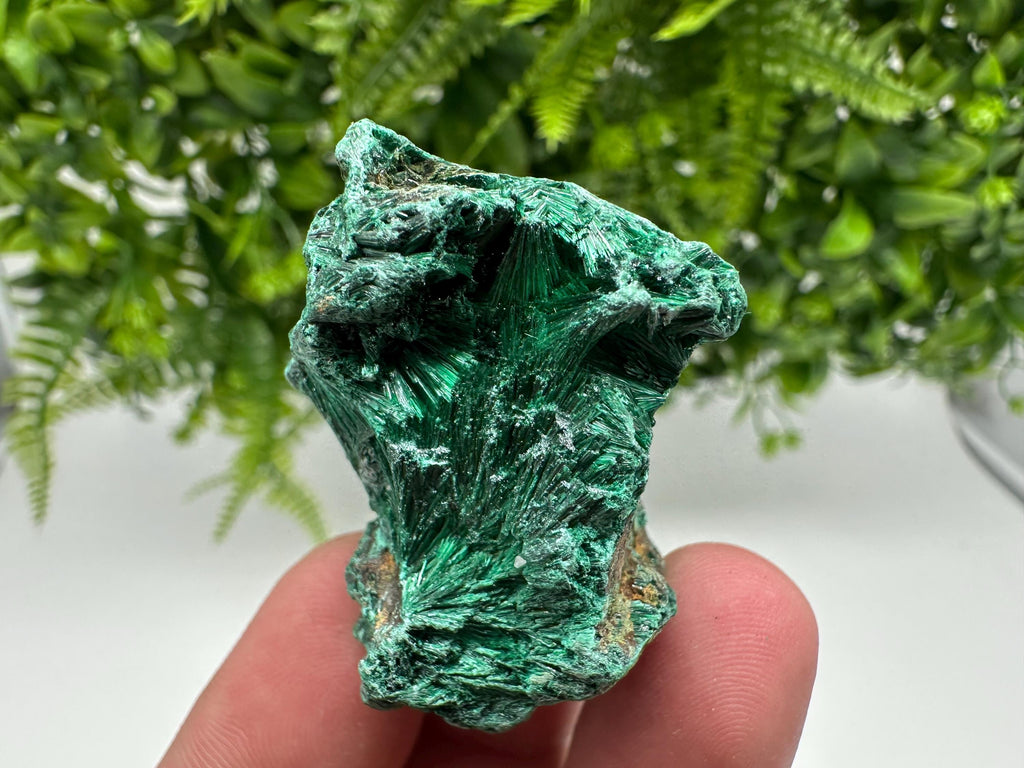 Green Polished Malachite Crystal Specimen from Congo