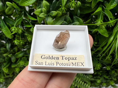 Beautiful Golden Topaz from Mexico, collection piece Crystal, Mineral, collectibles, Collectors, Natural Crystal, Minerals from Mexico, original,