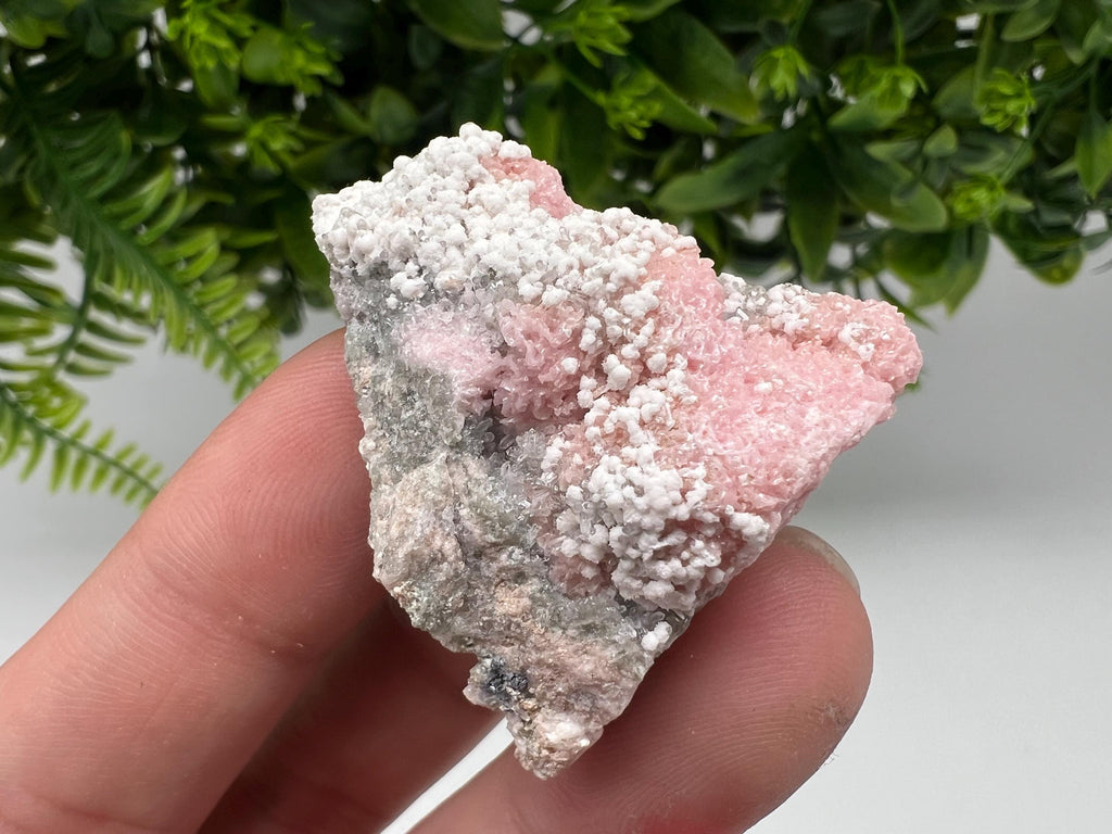 RARE Rhodochrosite with White Calcite, Starnica Mine, Bulgaria
