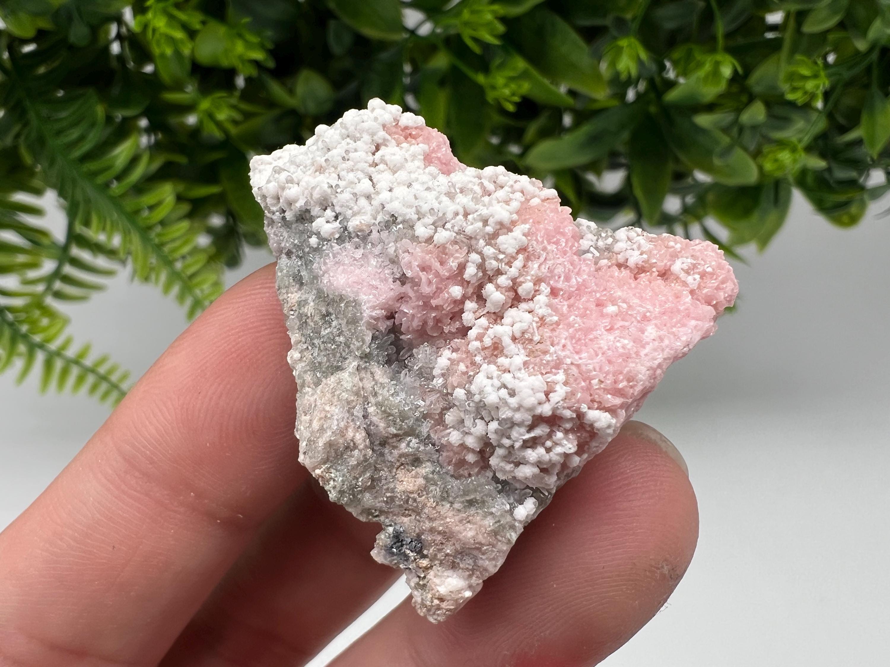 RARE Rhodochrosite with White Calcite, Starnica Mine, Bulgaria