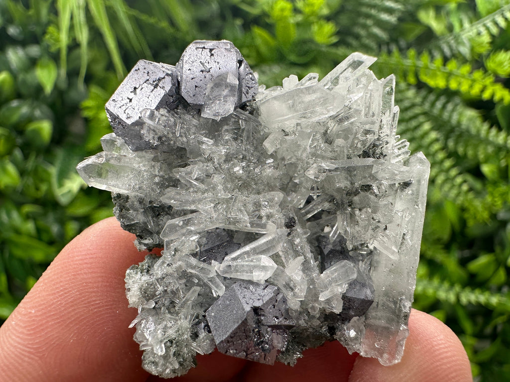 Galena on Green Quartz with Chlorite, Borieva Mine Mineral Specimen