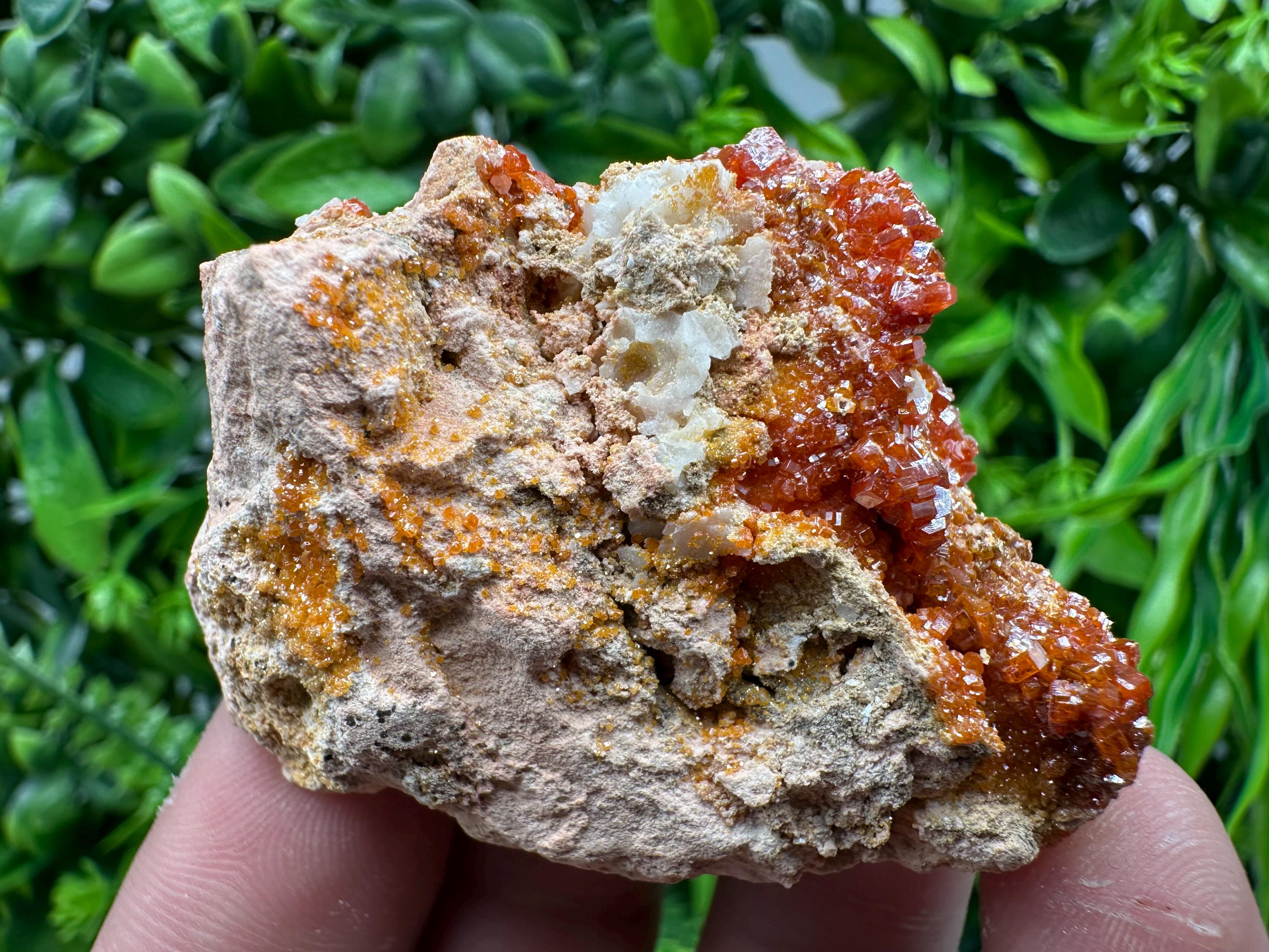 Red Vanadinite Crystal Cluster on Matrix, Morocco Mineral Specimen