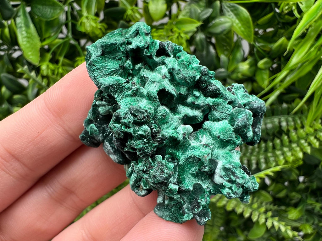 Malachite Crystal from Congo,Minerals,Crystals from Congo,Green Malachite, Malachite,Natural Malachite,Malachite Stone,Chakra, Specimens