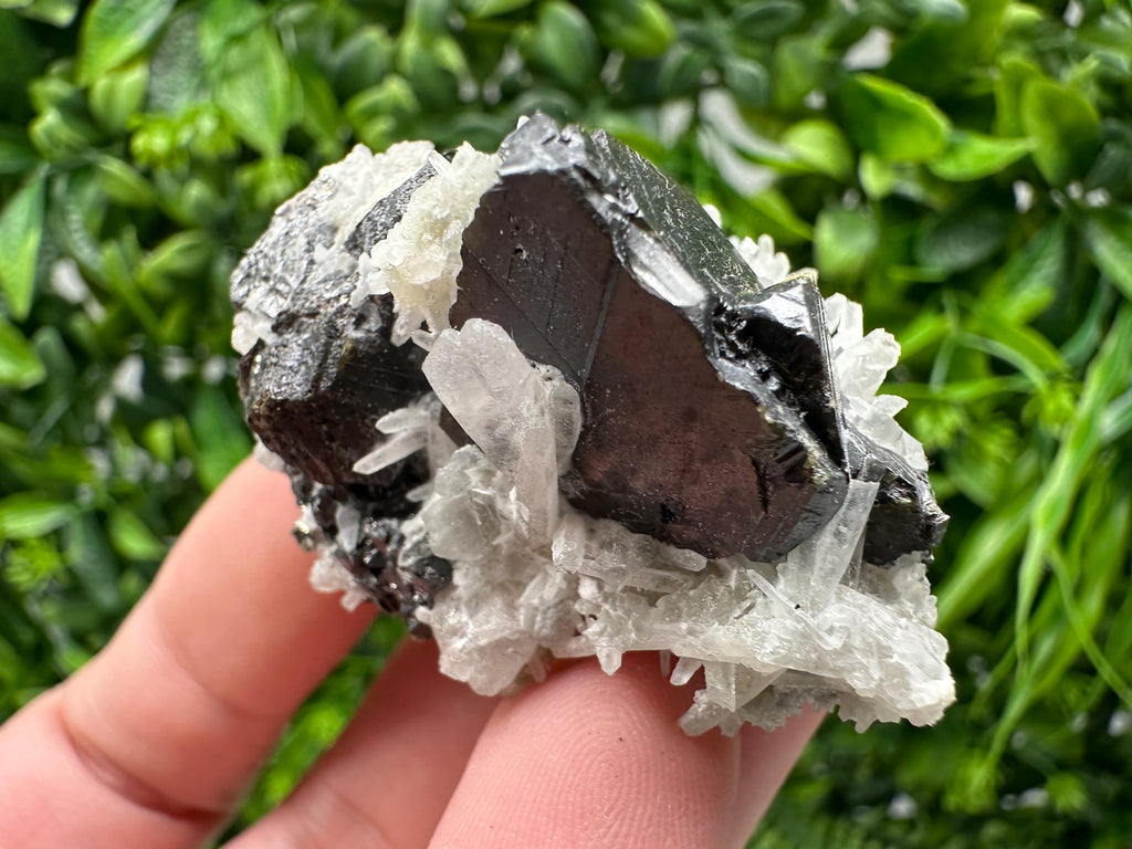 Wonderful Sphalerite Chalcopyrite on  Quartz whit Galena feom 9 th September mine,Bulgaria,natural,collection mineral specimen,gift