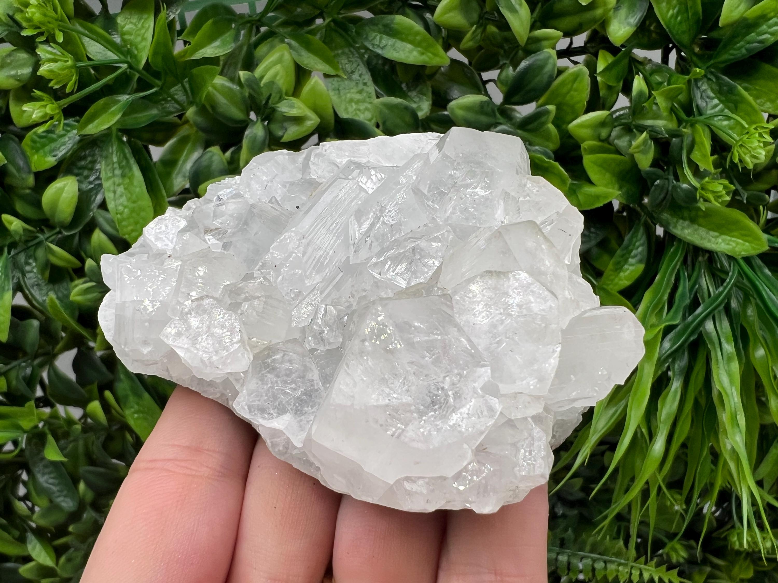 Apophyllite on Chalcedony Specimen: Transparent Crystal, India Minerals