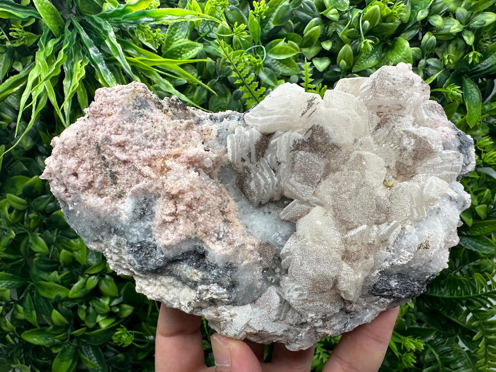 Rhodochrosite Calcite on Quartz Specimen: Collectible Mineral Decor