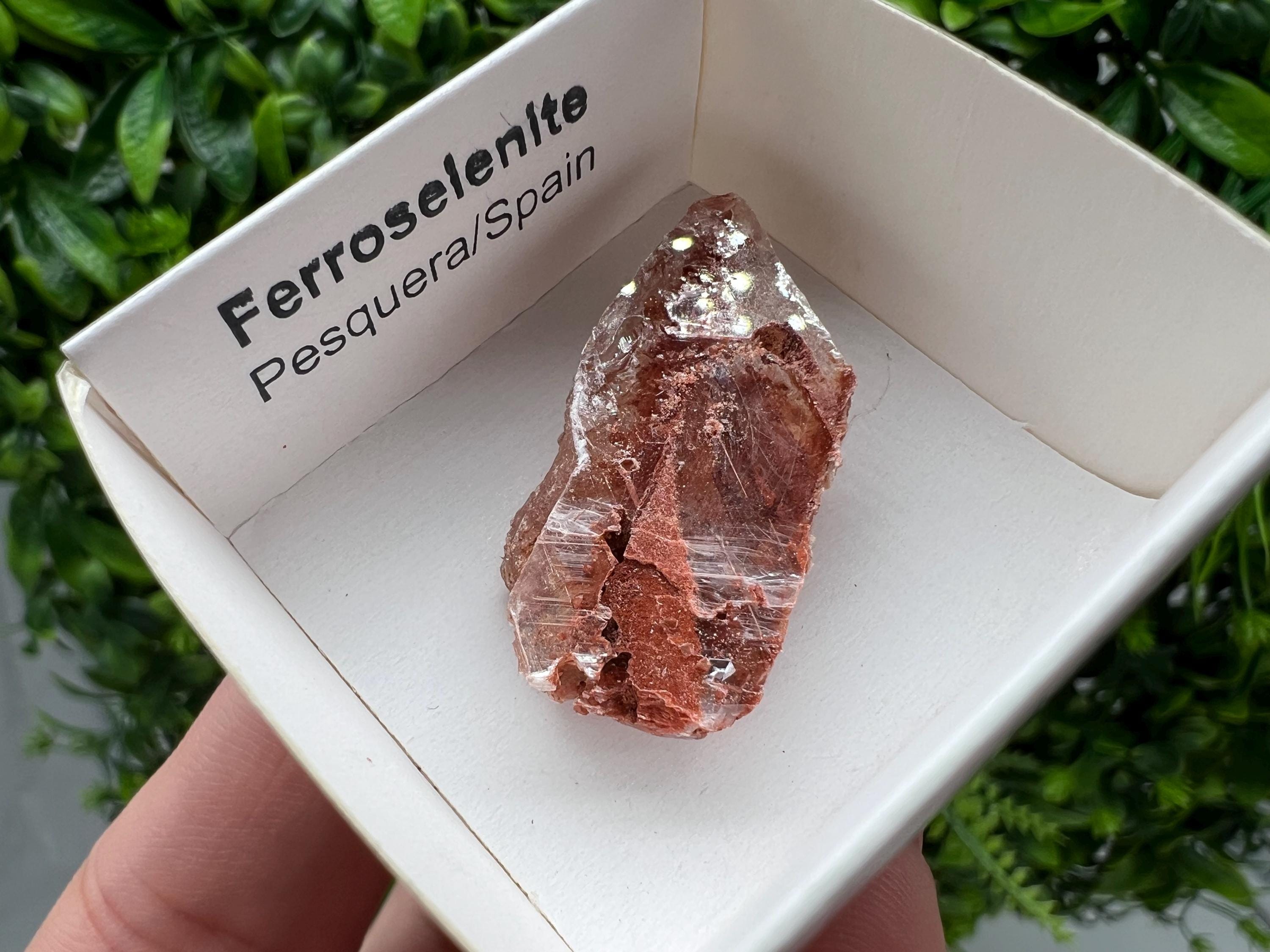 Rare Ferroselenite Crystal Mineral Specimen, Spain (3.4/1.8 cm)