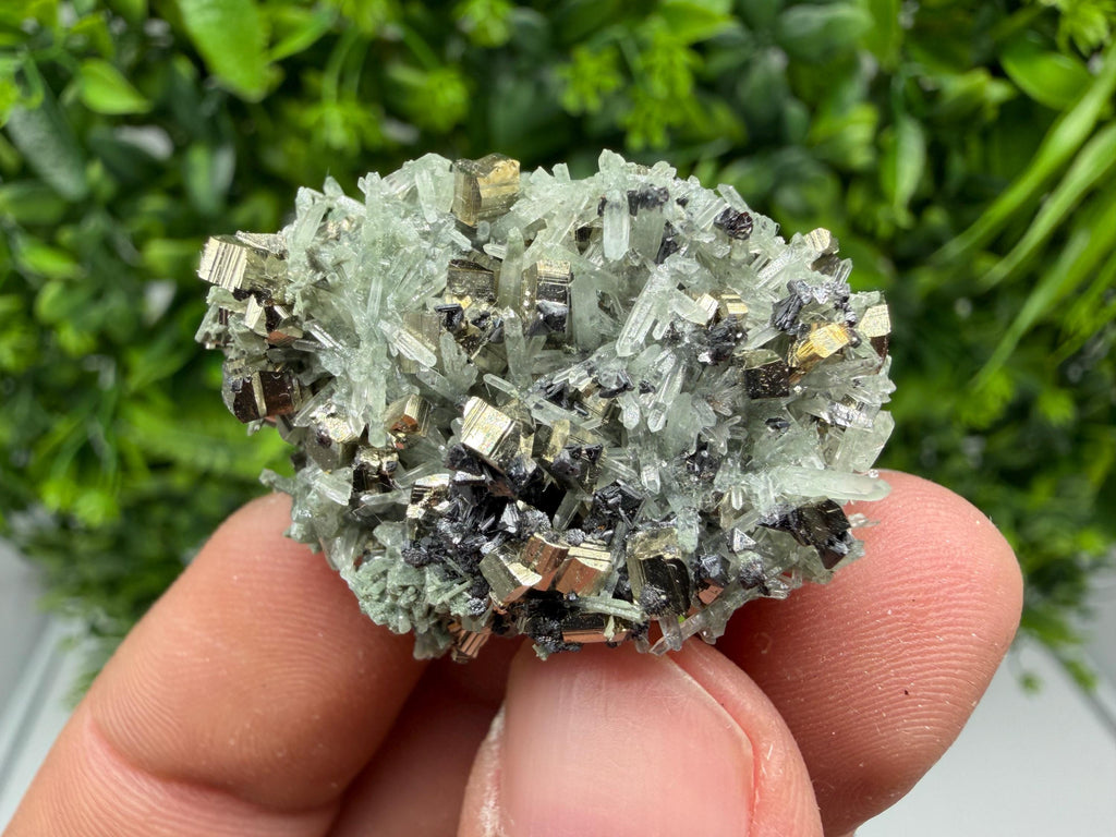 Pyrite on Green Quartz Mineral Specimen, Borieva Mine, Bulgaria