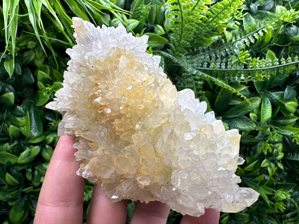 Limonite Quartz Crystal Cluster: Iron Oxide Mineral Specimen