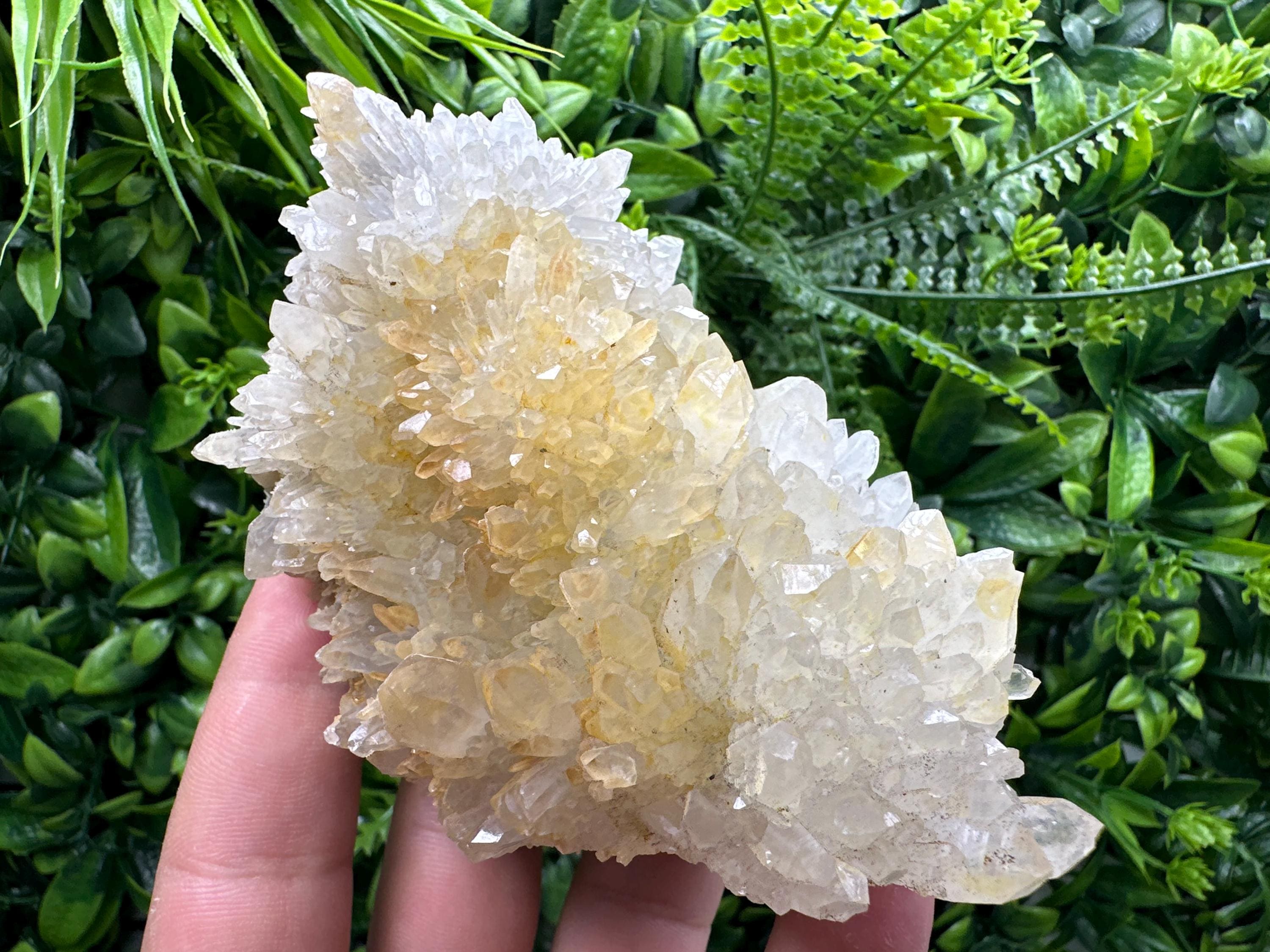 Limonite Quartz Crystal Cluster: Iron Oxide Mineral Specimen