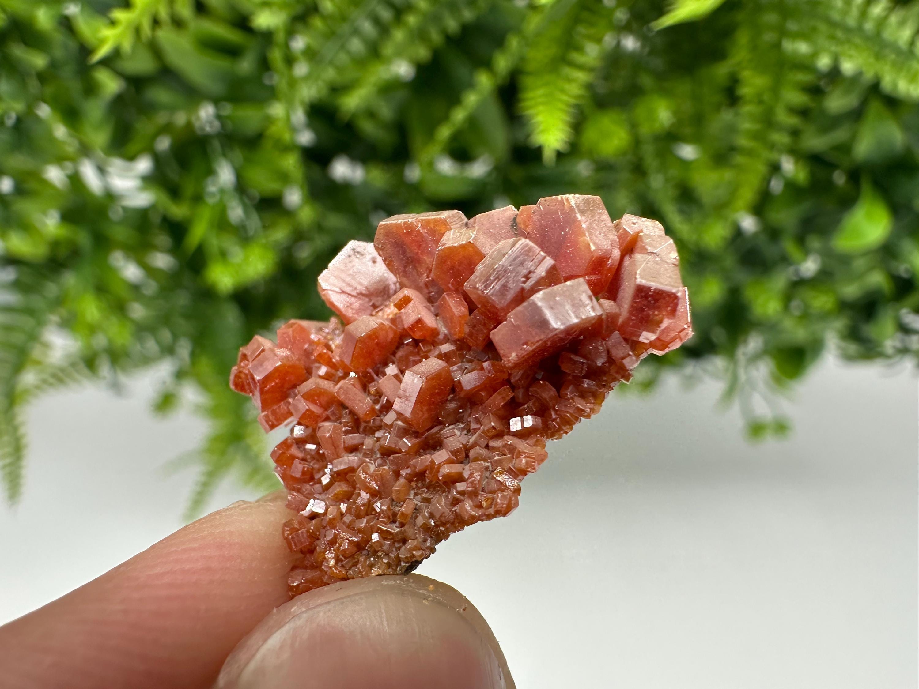 Red Vanadinite on Barite, Morocco Crystal Specimen, Geology Minerals