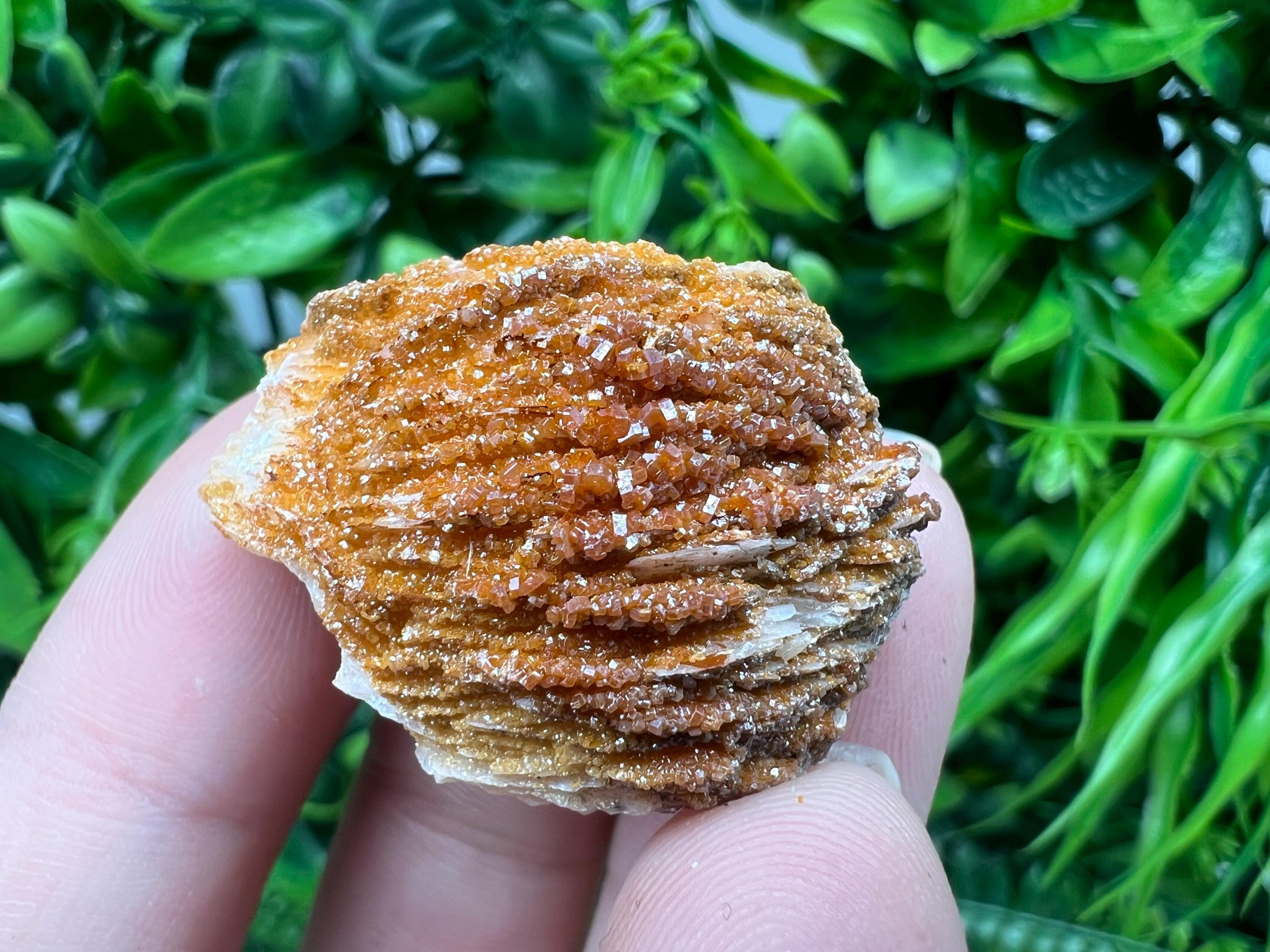 Red Vanadinite on Barite from Marocco,crystal minerals Speciment cluster Vanadinite crystal Vanadinite Geology Vanadinite cluster minerals