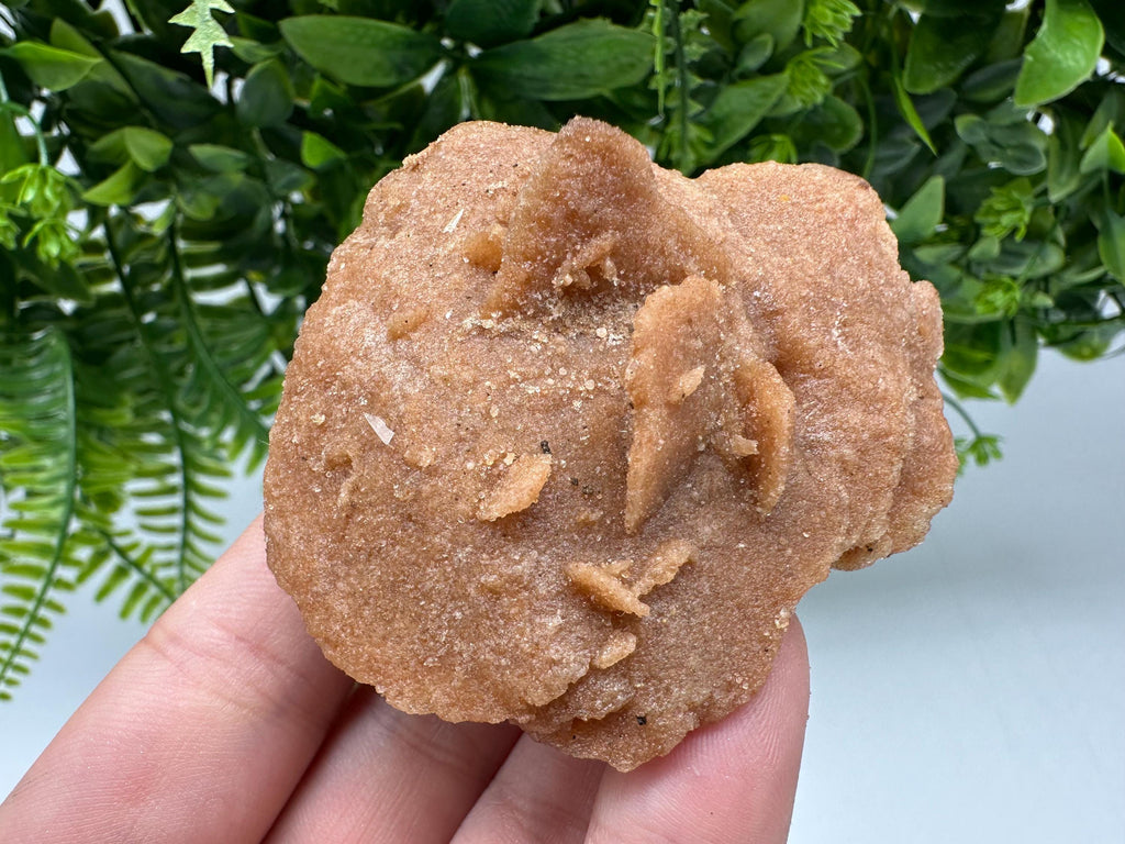 Natural Desert Rose Crystal – Root Chakra Healing Selenite Stone