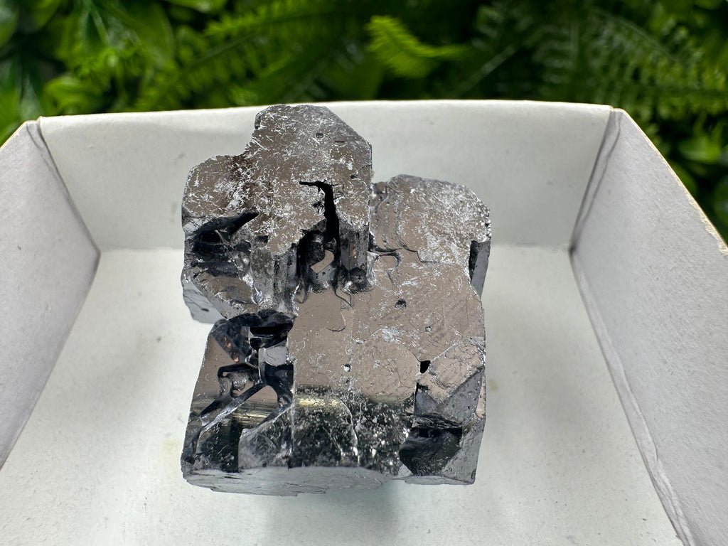 Shiny Galena Cluster: Borieva Mine, Madan, Bulgaria