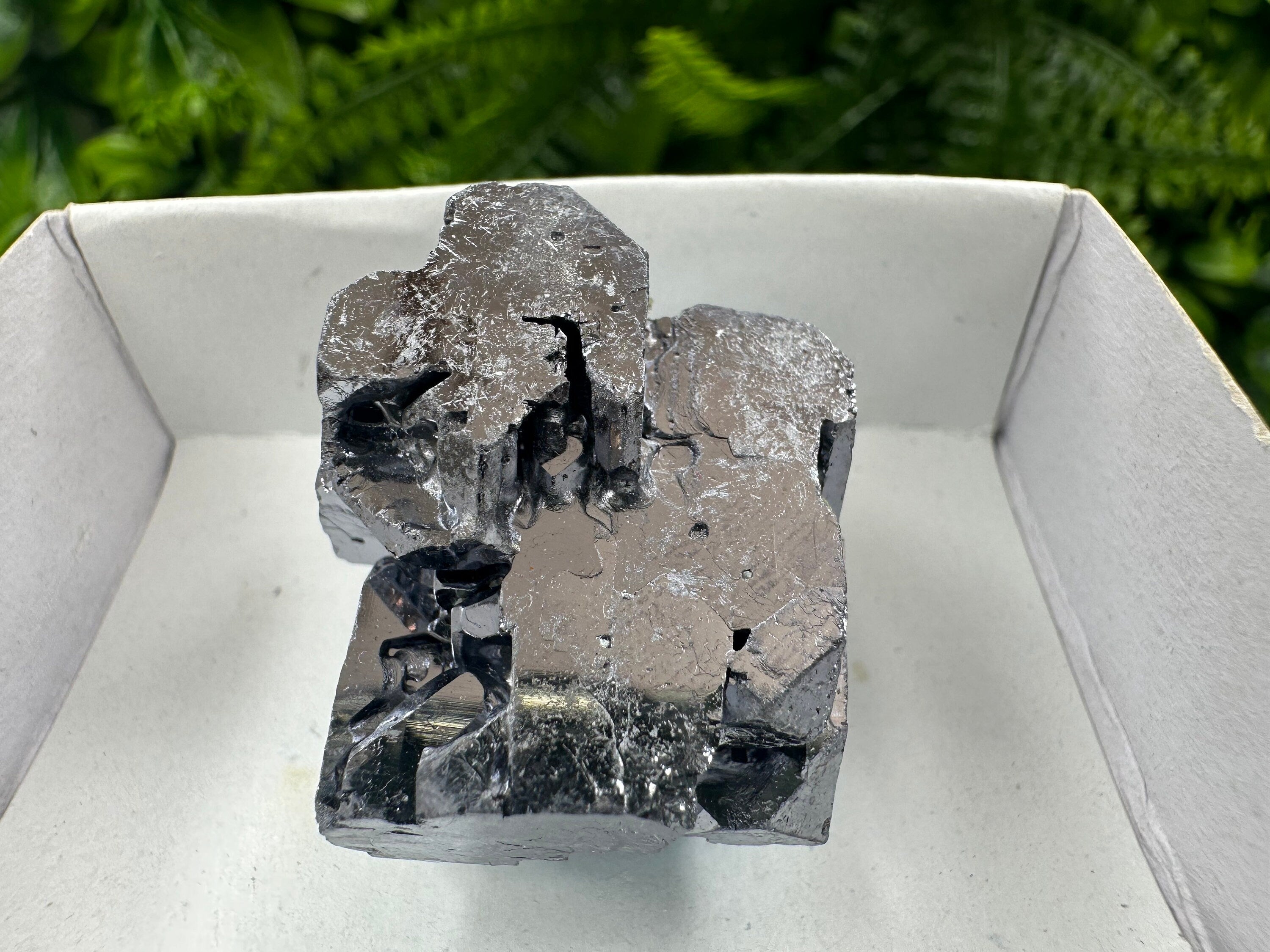 Shiny Galena Cluster: Borieva Mine, Madan, Bulgaria