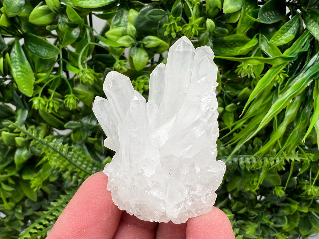 Transparent Quartz Cluster, Djurcovo Mine, Bulgaria, Mineral Specimen