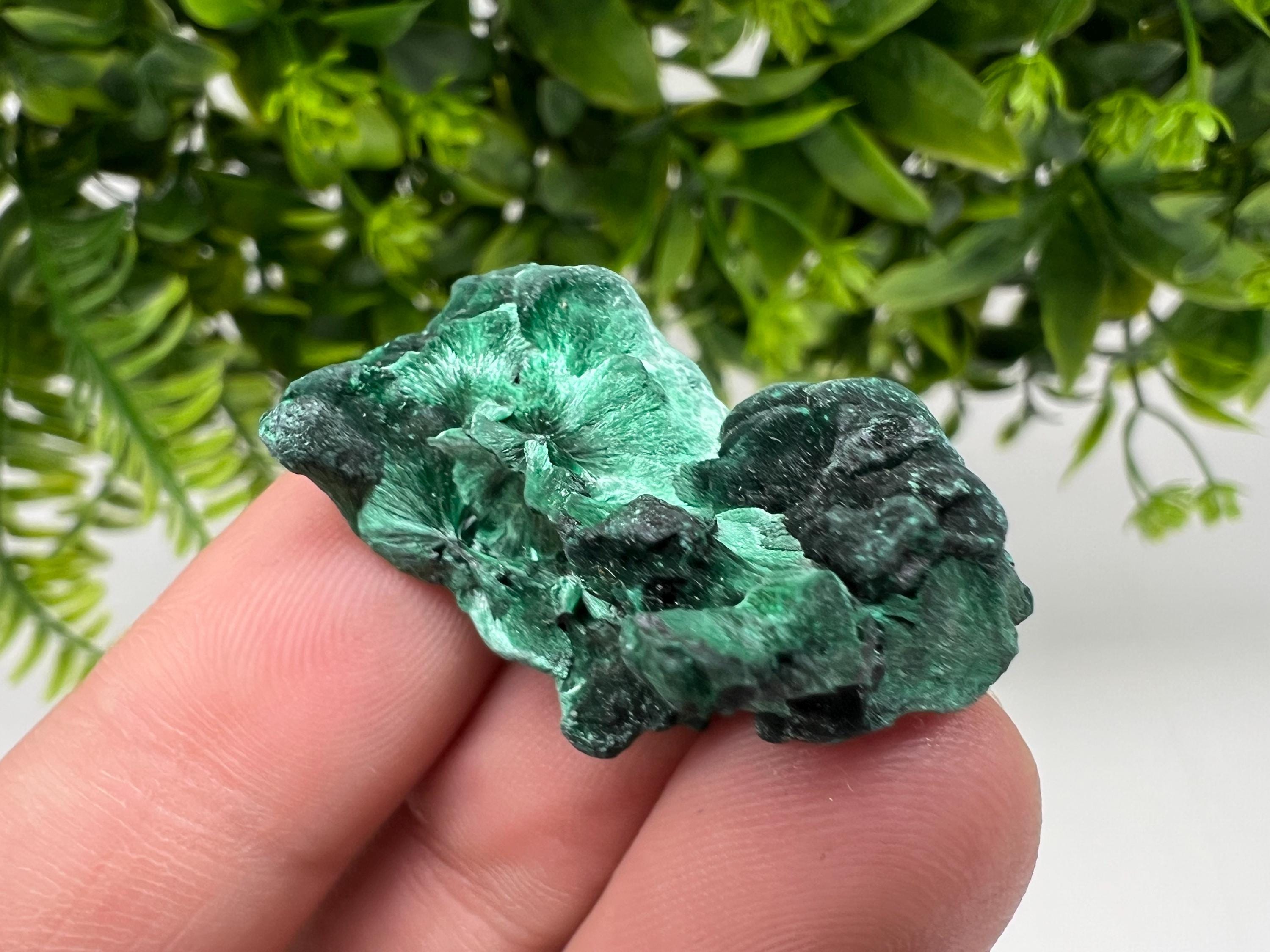 Malachite Crystal from Congo,Minerals,Crystals from Congo,Green Malachite, Malachite,Natural Malachite,Malachite Stone,Chakra, Specimens