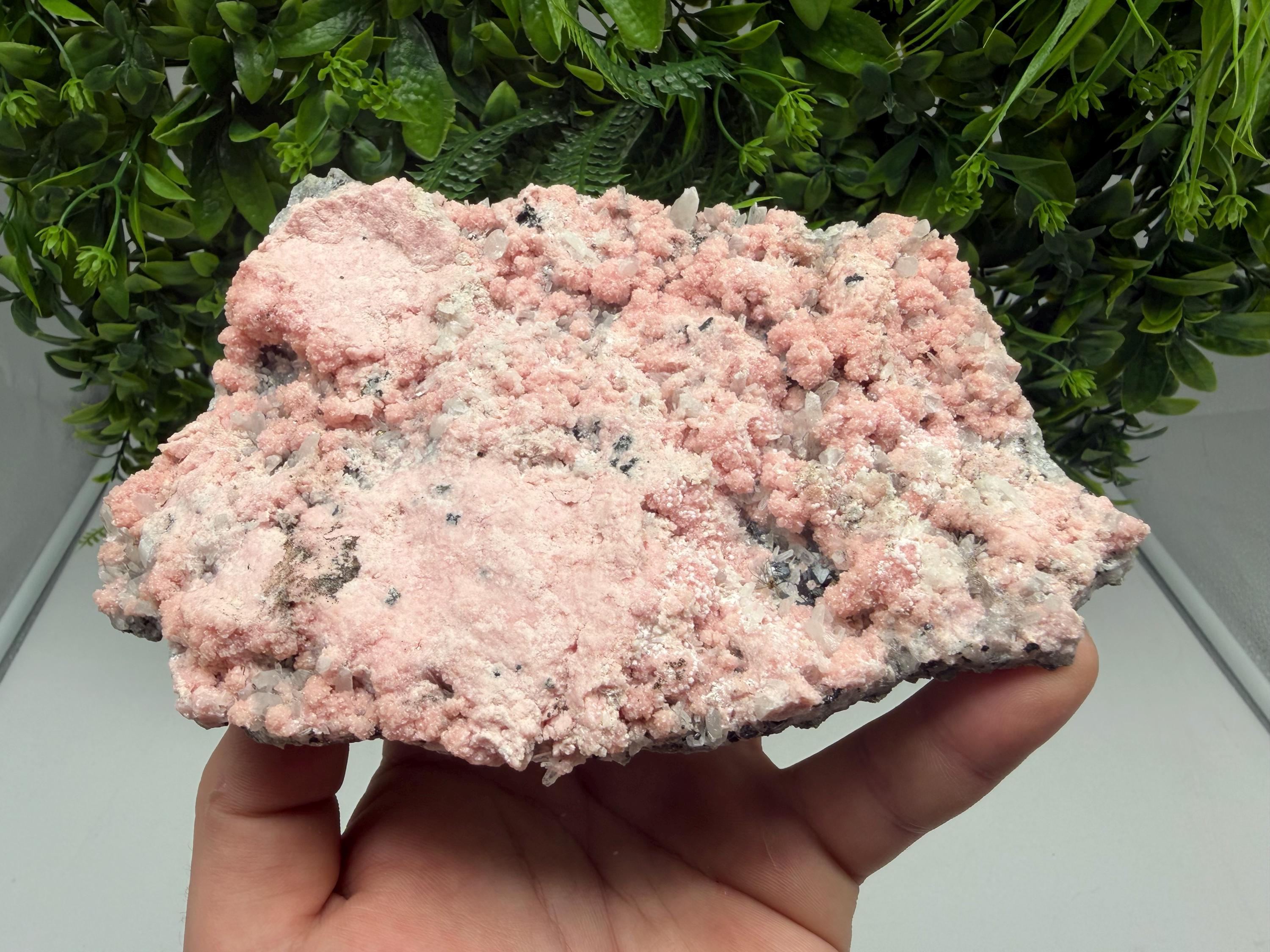Pink Rhodochrosite Crystal, Starnica Mine, Bulgaria, Mineral Decor