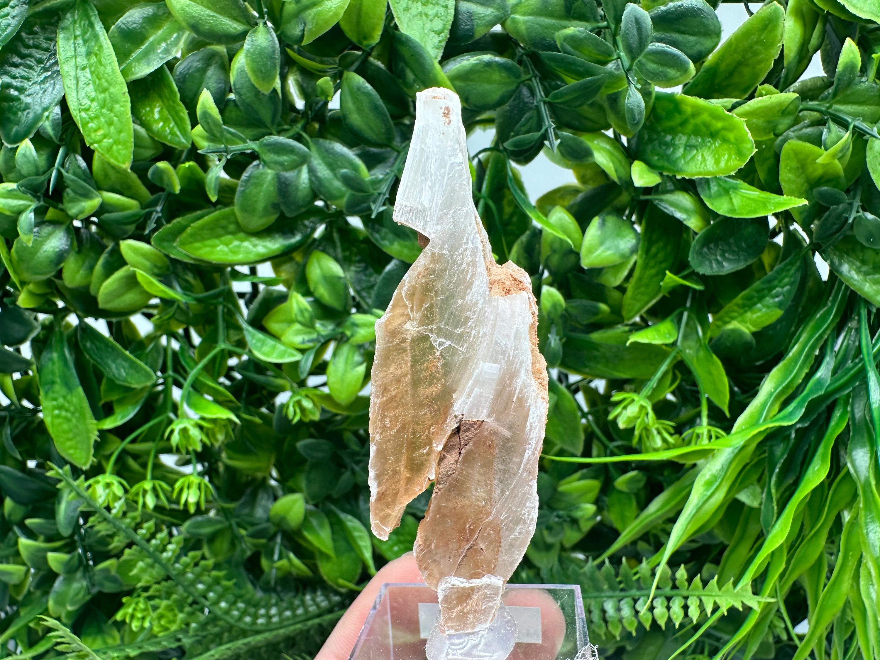 Golden Phantom Selenite Slab: Raw Utah Fishtail Selenite Wand