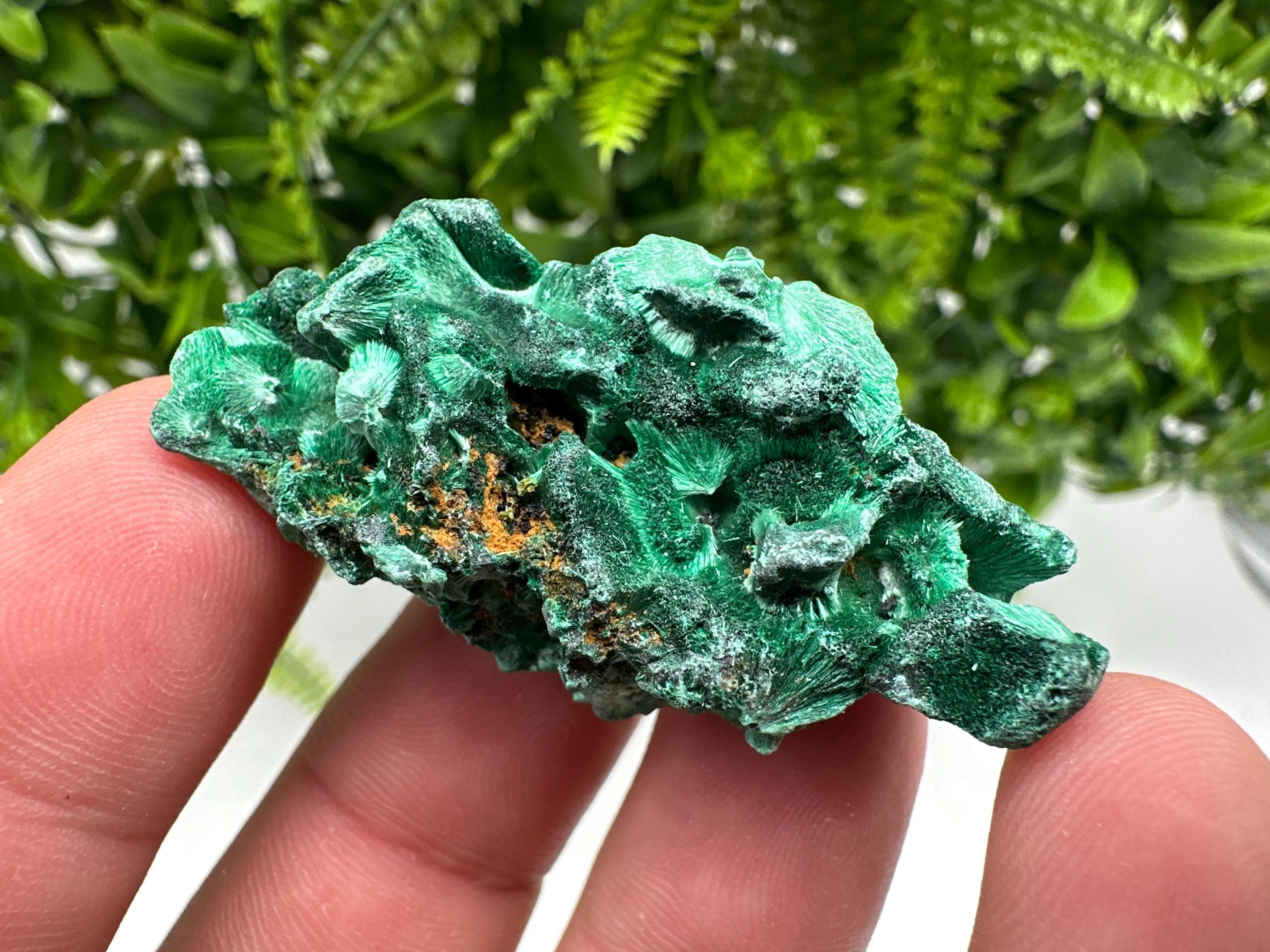Malachite Crystal from Congo,Minerals,Crystals from Congo,Green Malachite, Malachite,Natural Malachite,Malachite Stone,Chakra, Specimens