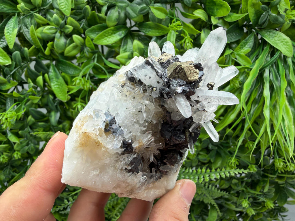 Sphalerite Chalcopyrite on Quartz with Galena, Bulgaria Mineral Specimen
