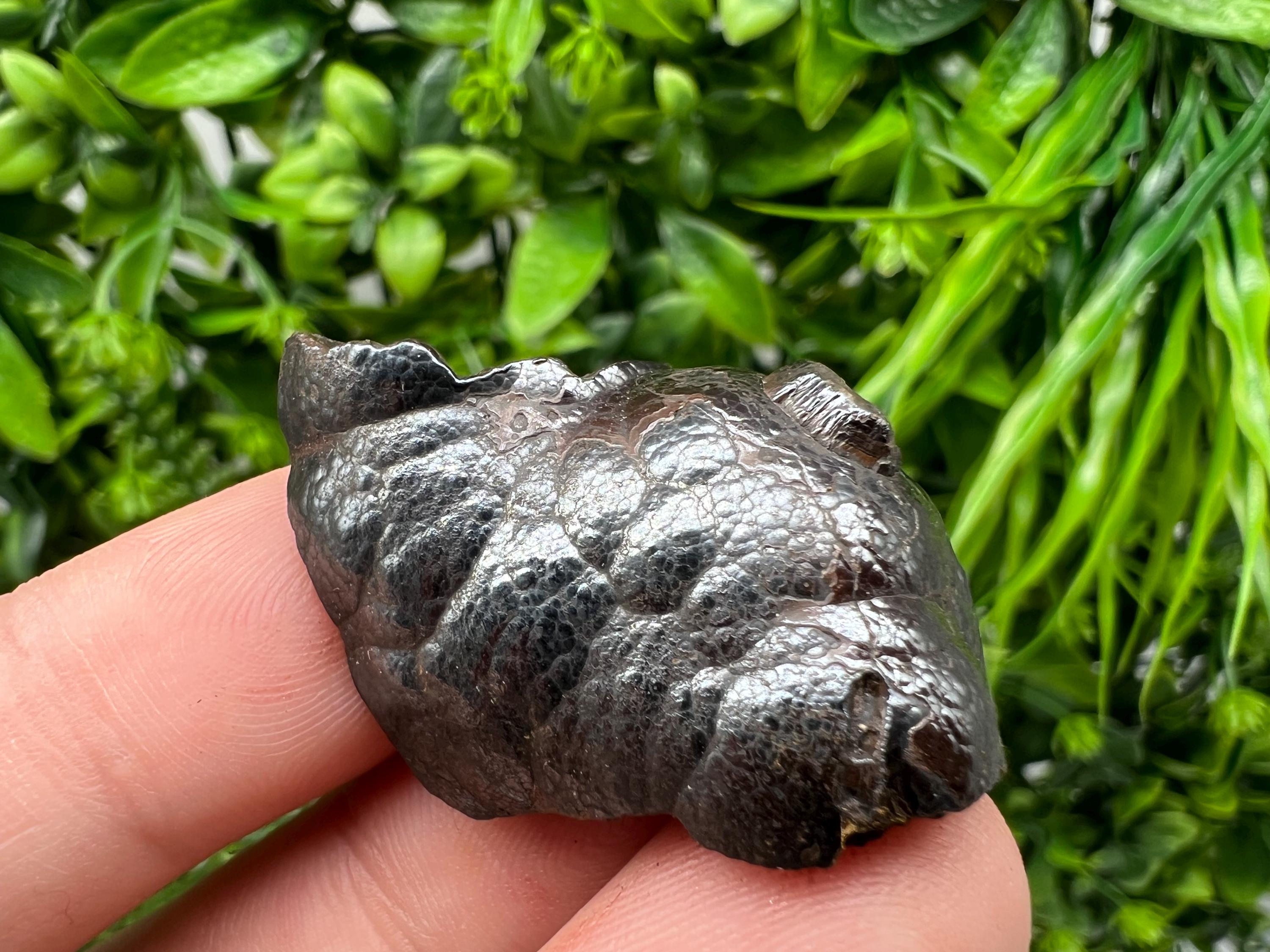 Botryoidal Black Hematite Specimen: Moroccan Crystal, Reiki Chakra Stone