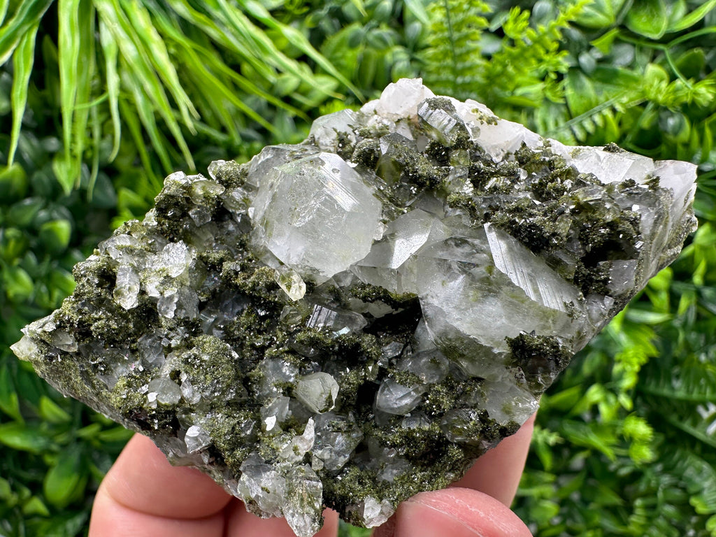 Rare Green Epidote with Quartz Crystals: Sparkly Rainbow Mineral Decor