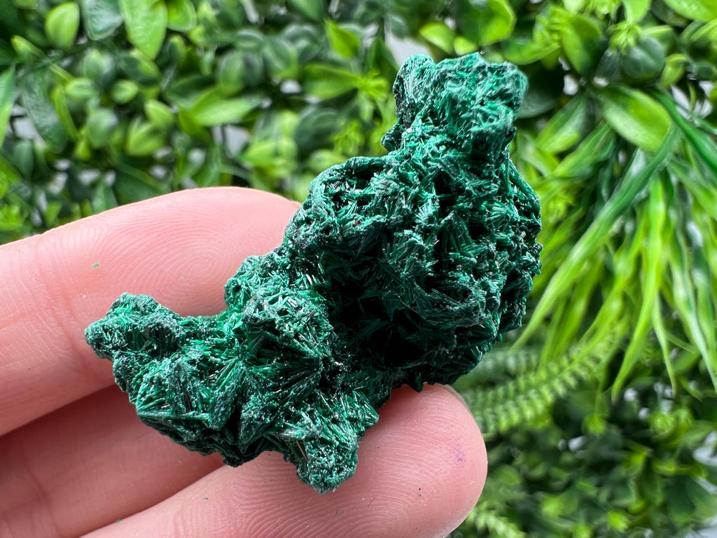 Malachite Crystal from Congo,Minerals,Crystals from Congo,Green Malachite, Malachite,Natural Malachite,Malachite Stone,Chakra, Specimens