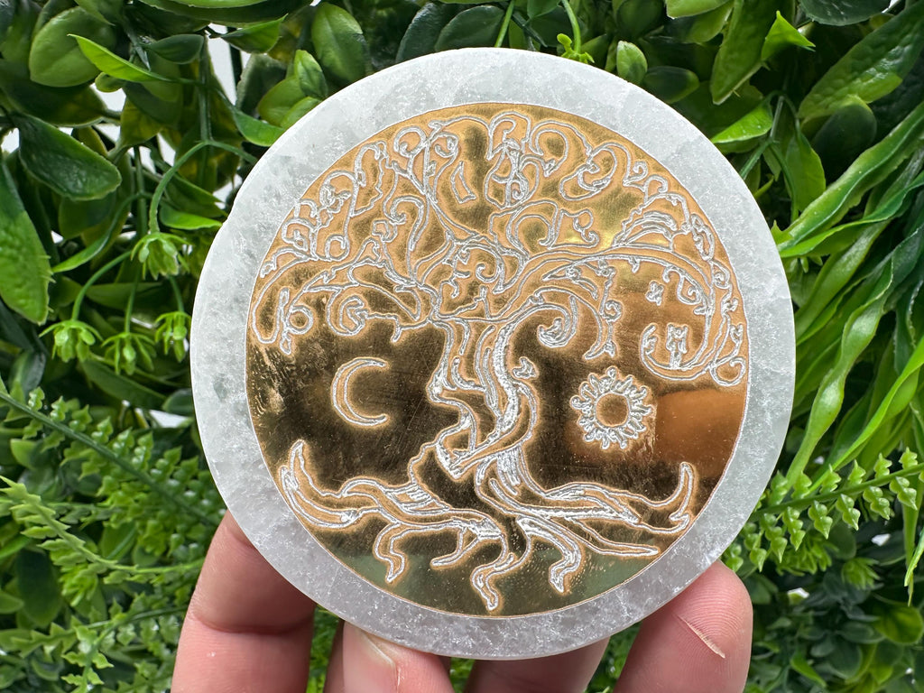 Tree of Life Selenite Plate: Crystal Recharging Station (8/8cm)