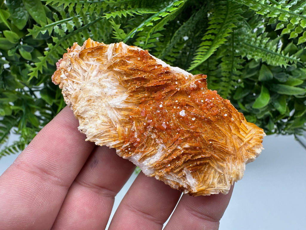 Red Vanadinite on Barite, Morocco Crystal Cluster
