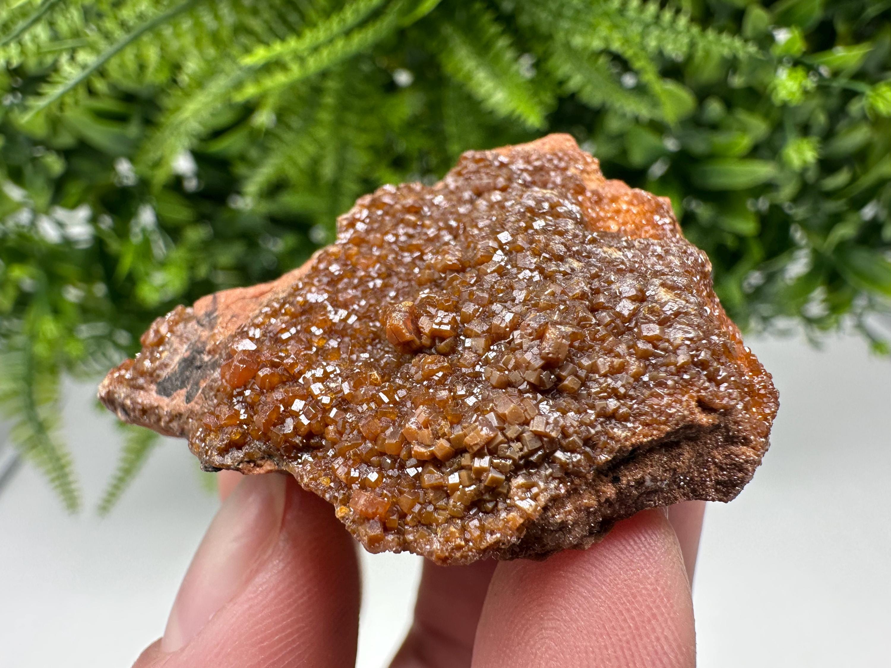 Red Vanadinite on Matrix from Marocco,crystal minerals Speciment cluster Vanadinite crystal Vanadinite Geology Vanadinite cluster minerals