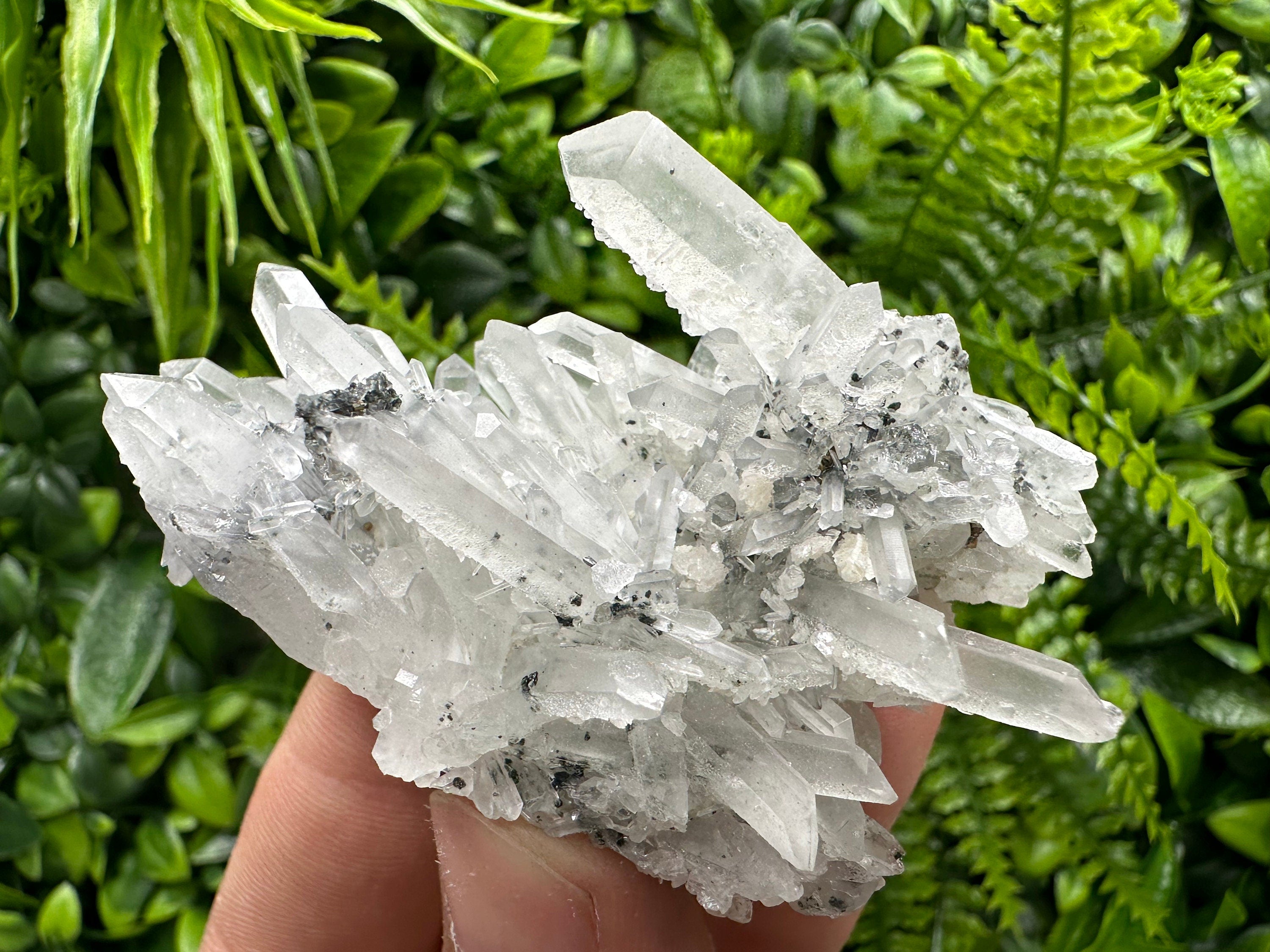 Quartz Calcite Chlorite Crystal: Borieva Mine, Bulgaria