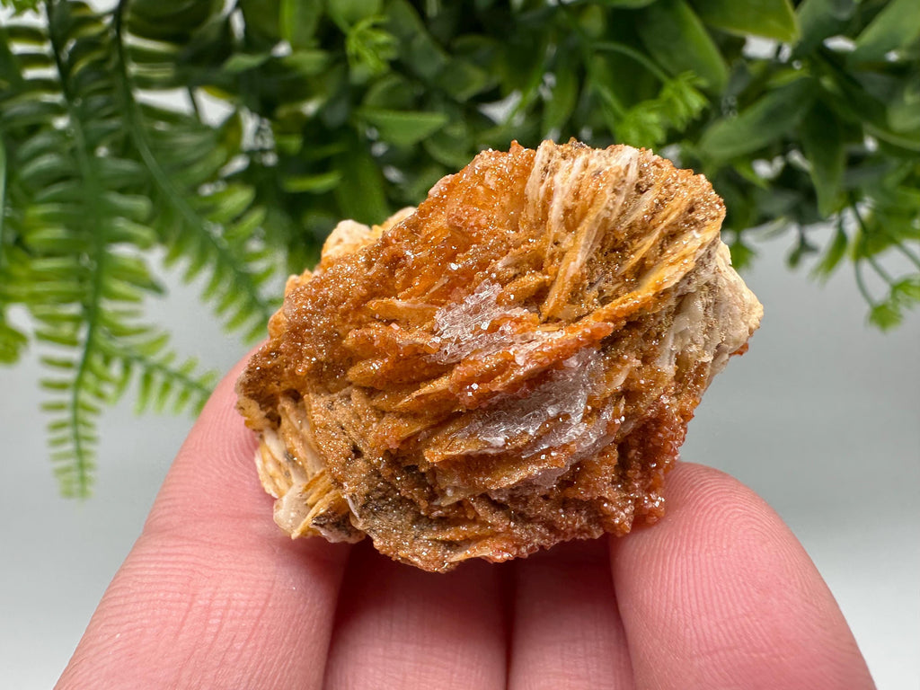 Red Vanadinite on Barite from Marocco,crystal minerals Speciment cluster Vanadinite crystal Vanadinite Geology Vanadinite cluster minerals