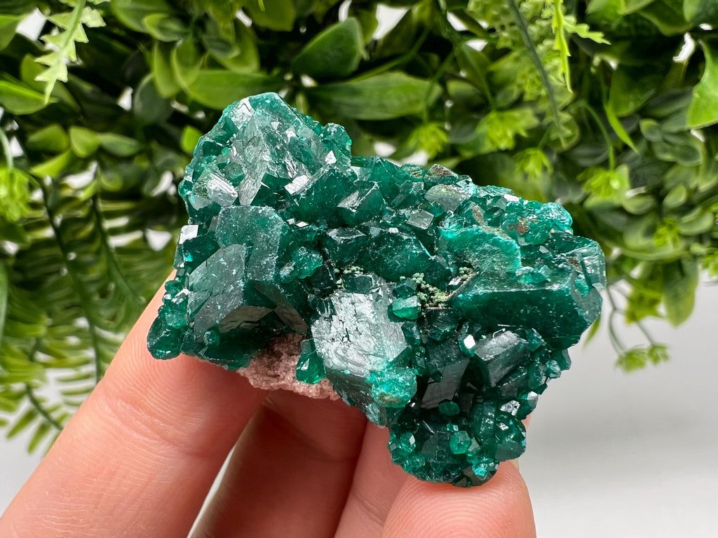 Stunning Green Dioptase from Sanda Hills,Mindouli,Pool Department,Mindouli District,Congo,green Dioptase,Dioptas Crystal,Dioptase collecting