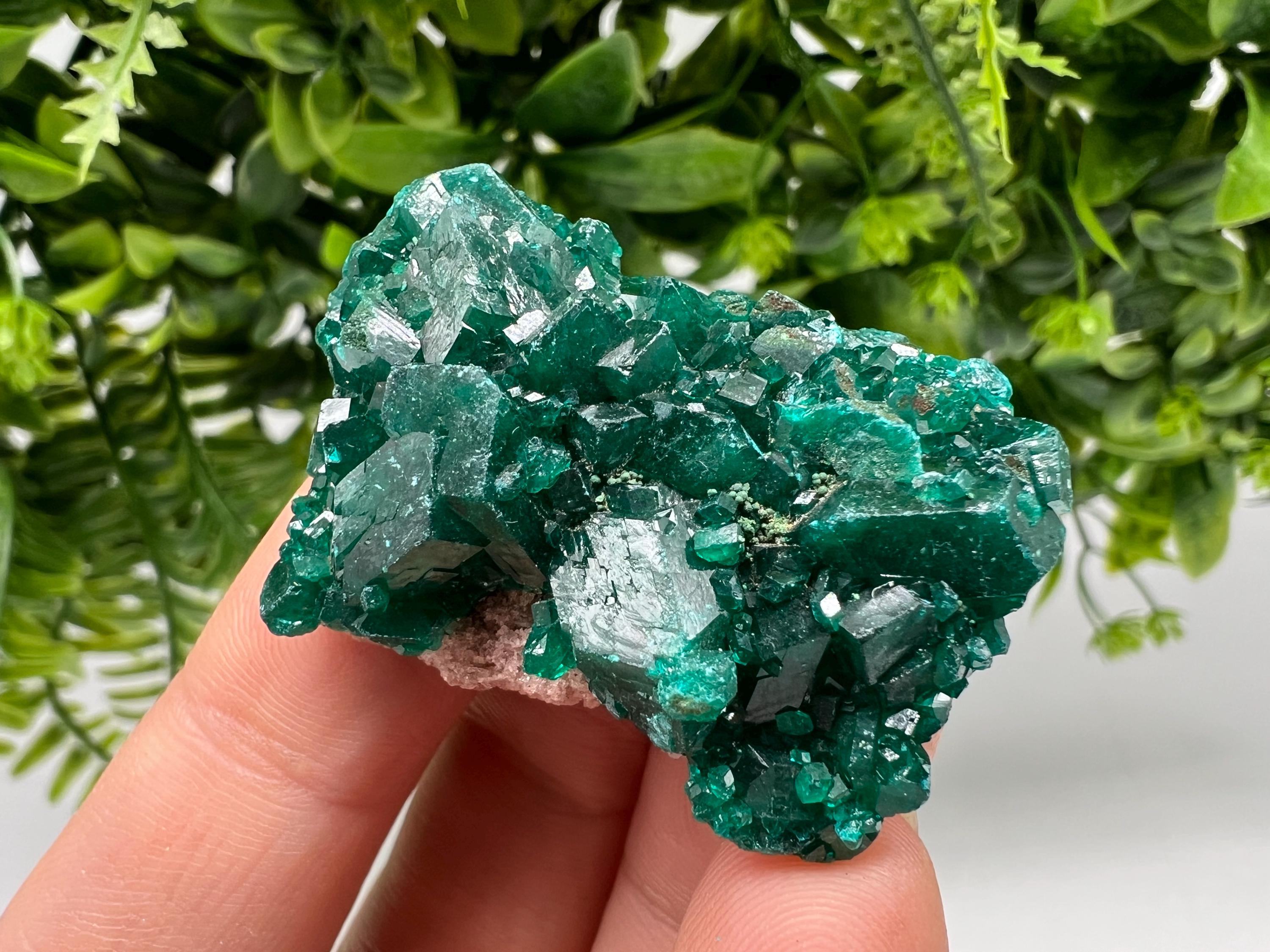 Stunning Green Dioptase from Sanda Hills,Mindouli,Pool Department,Mindouli District,Congo,green Dioptase,Dioptas Crystal,Dioptase collecting