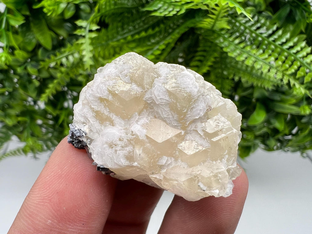 Calcite on Galena Specimen: Borieva Mine, Bulgaria