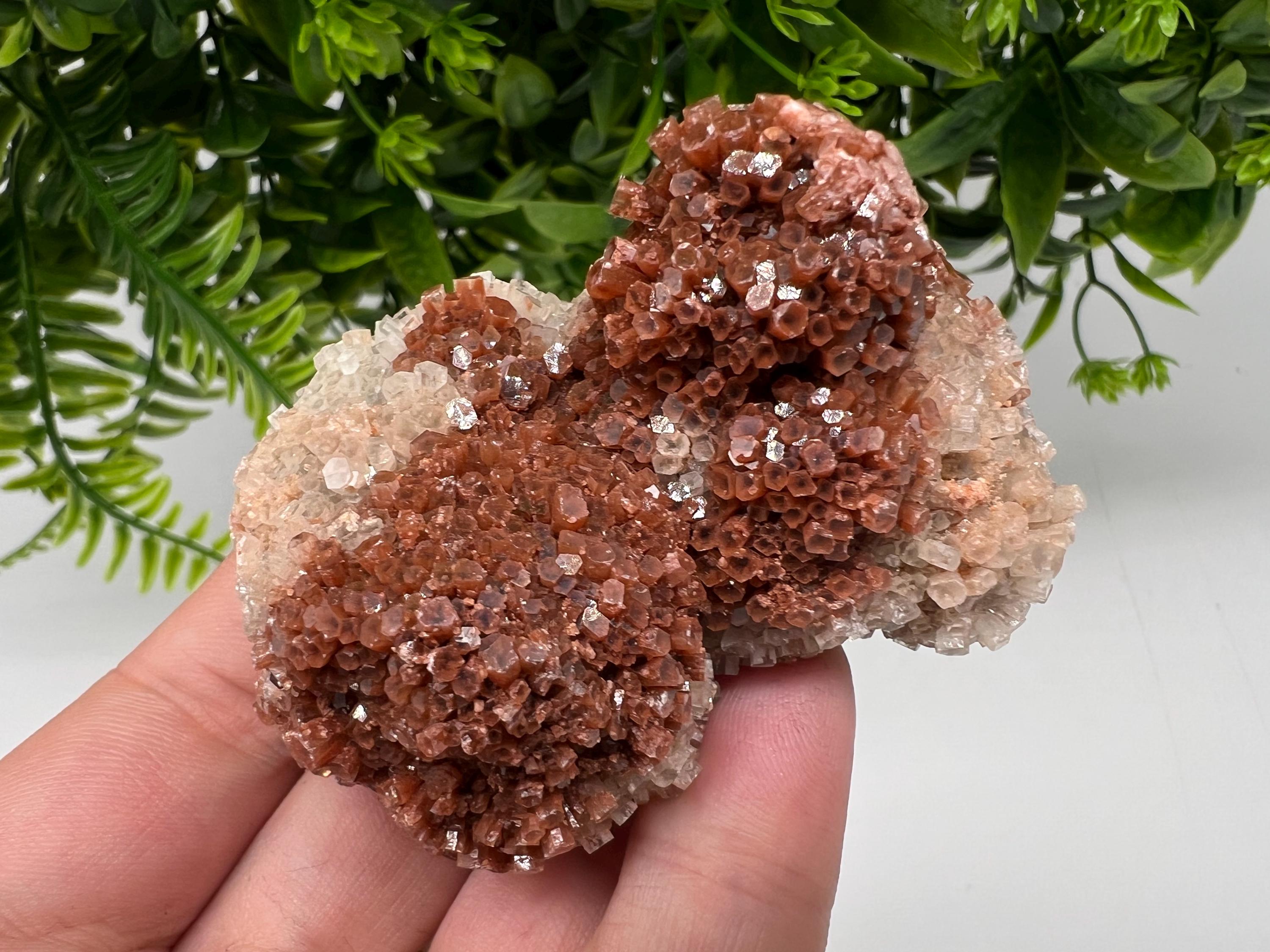 Large Aragonite Sputnik Cluster: Raw Moroccan Crystal Stone