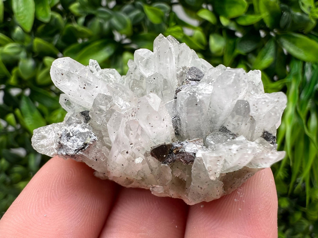 Wonderful Transparent Quartz on Chlorite Matrix,From Borieva mine,Madan,Bulgaria,Quartz,Quartz crystal,mineral specimen,collection quartz