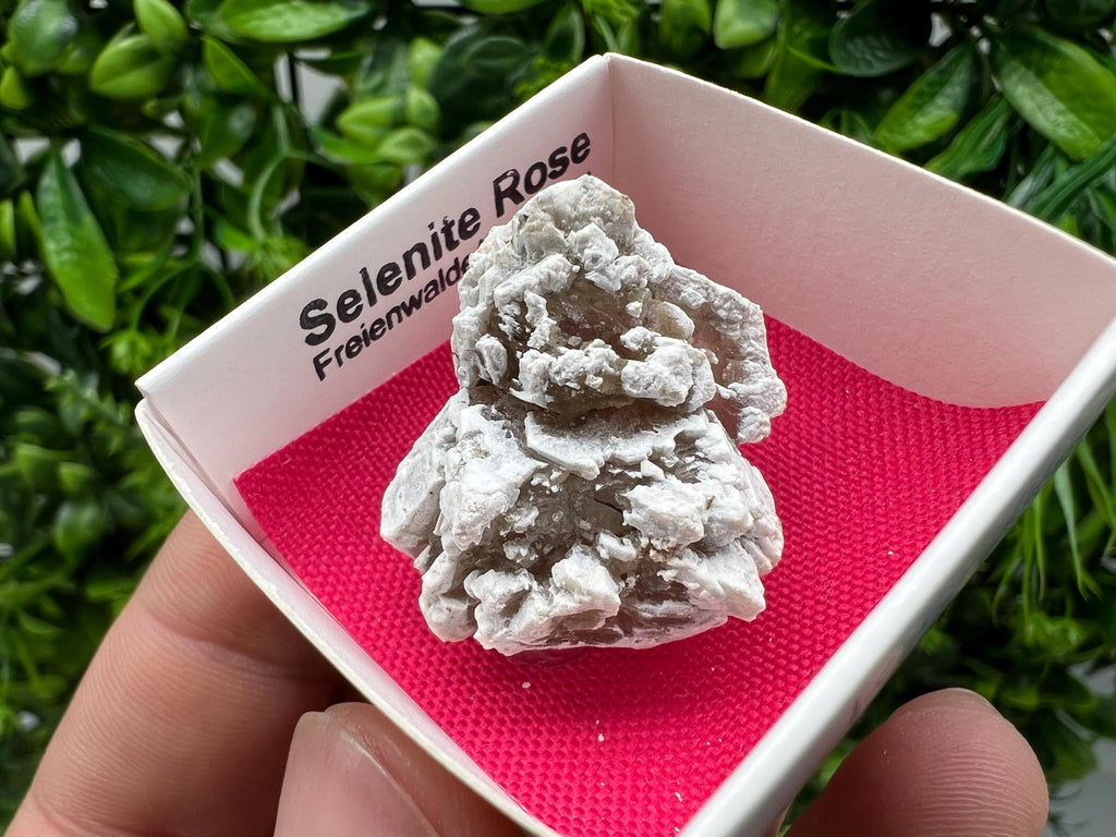 Selenite Rose Freienwalde,Germany natural crystal minerals,specimen,clusters,souvenirs,home decor,gift minerals,rare stone,collection