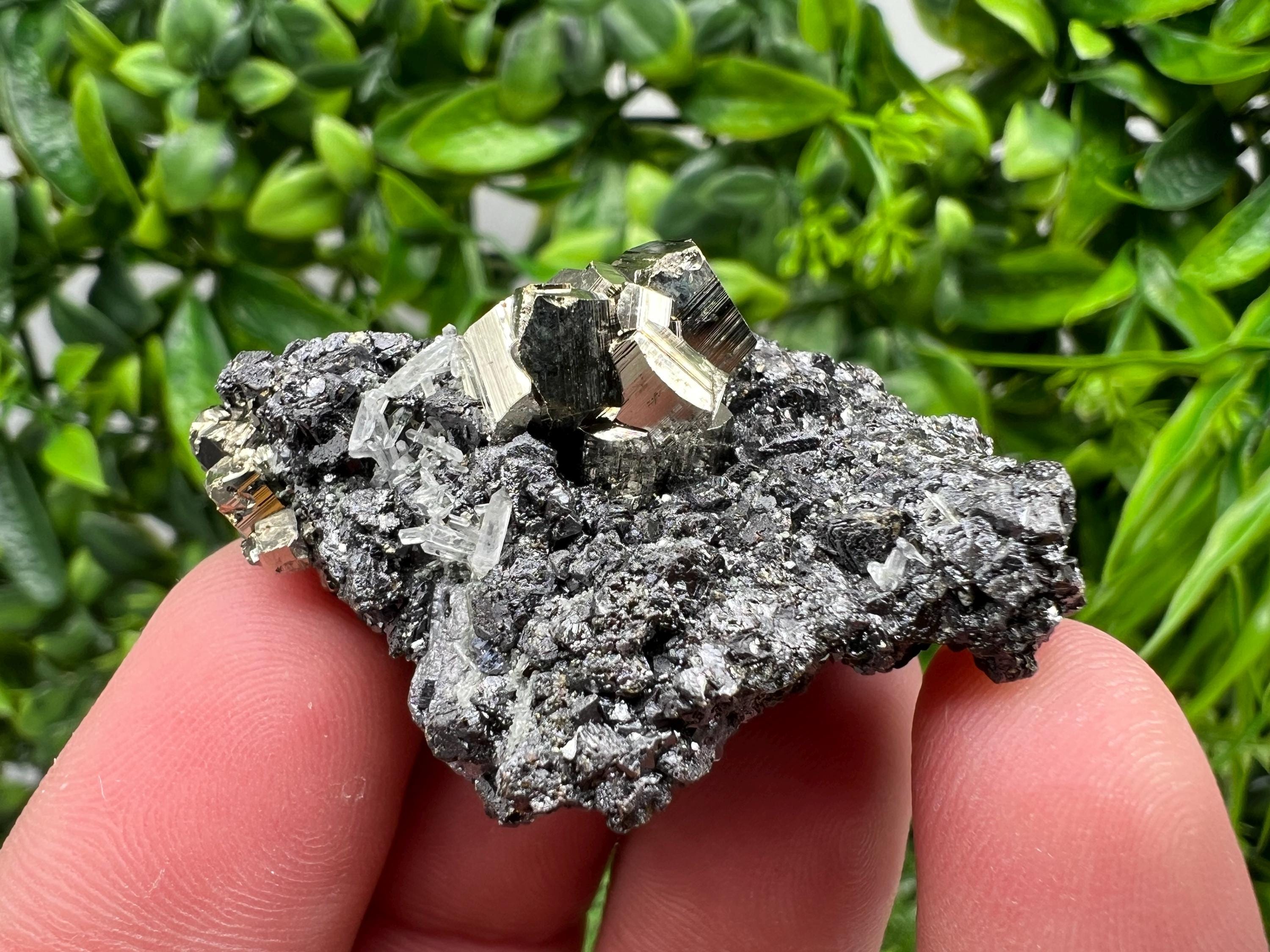 Pyrite Galena Sphalerite Quartz Specimen: Borieva Mine Mineral Decor