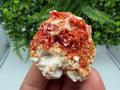 Red Vanadinite on Barite Cluster, Morocco Mineral Specimen