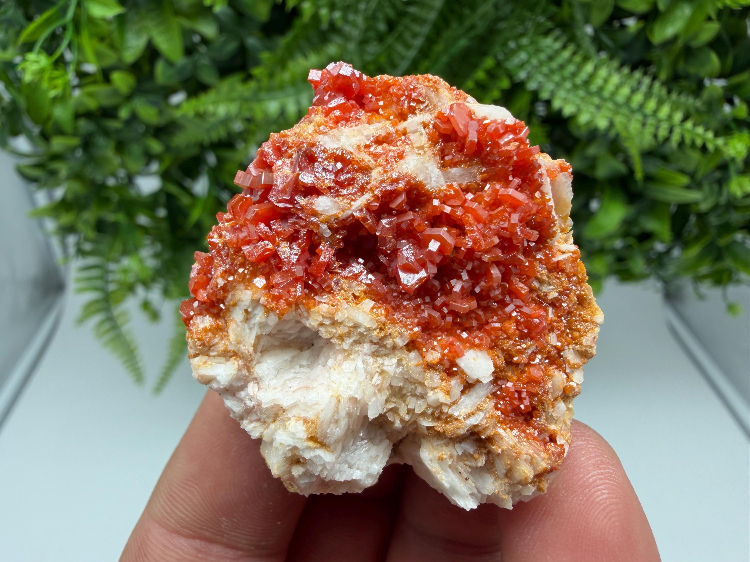 Red Vanadinite on Barite Cluster, Morocco Mineral Specimen