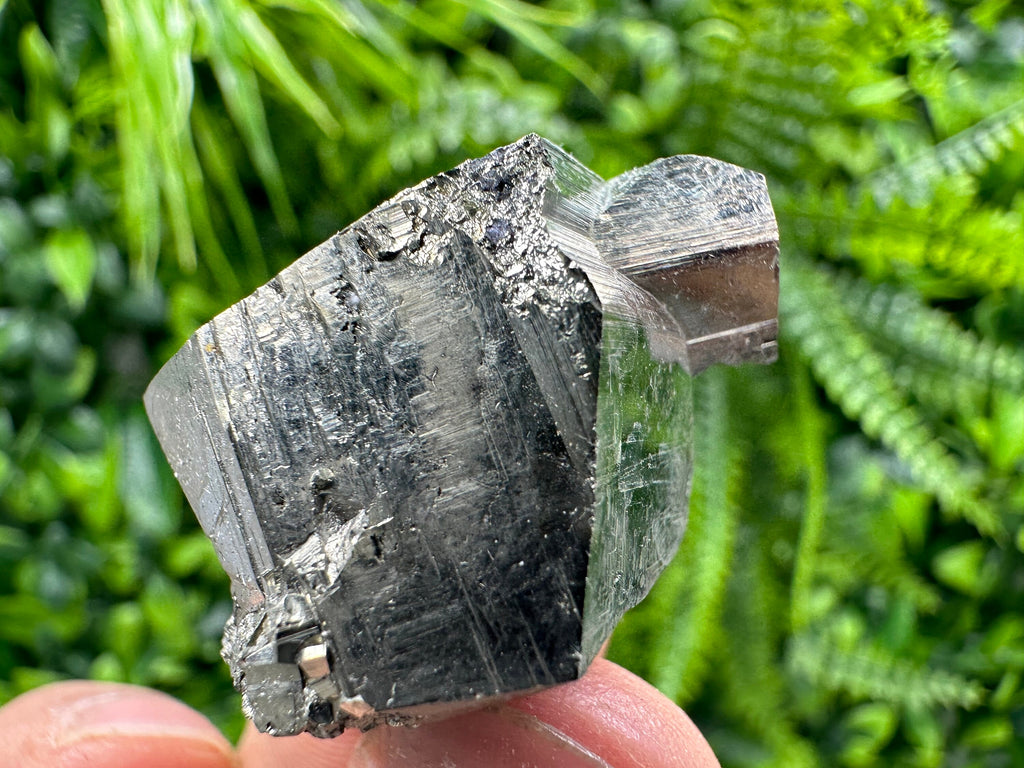 Golden Pyrite Crystal: Shiny Fool's Gold Souvenir from Madan Bulgaria