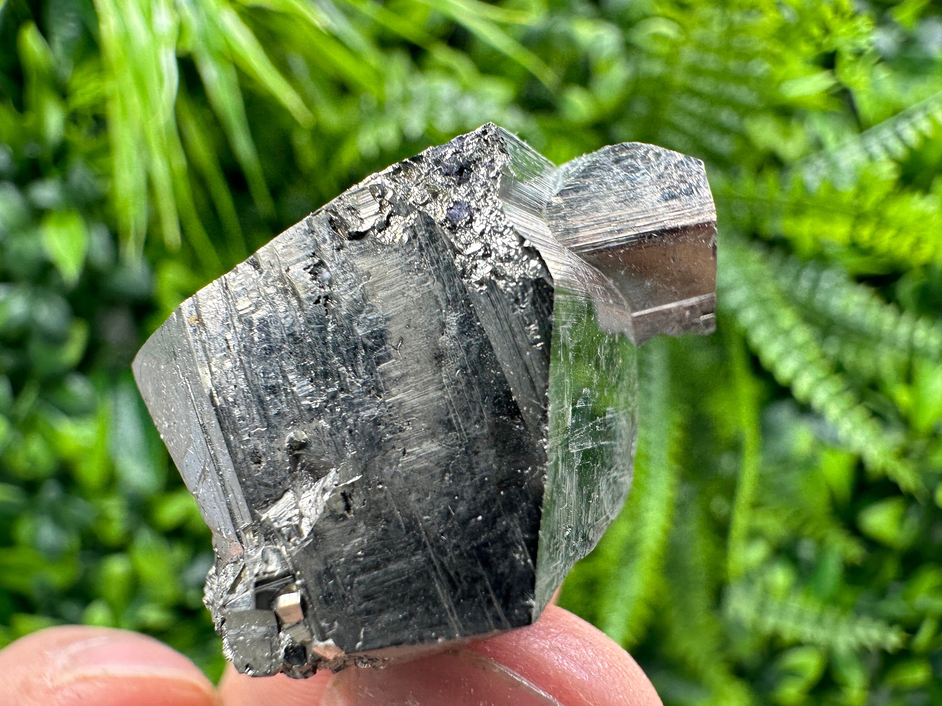 Golden Pyrite Crystal: Shiny Fool's Gold Souvenir from Madan Bulgaria