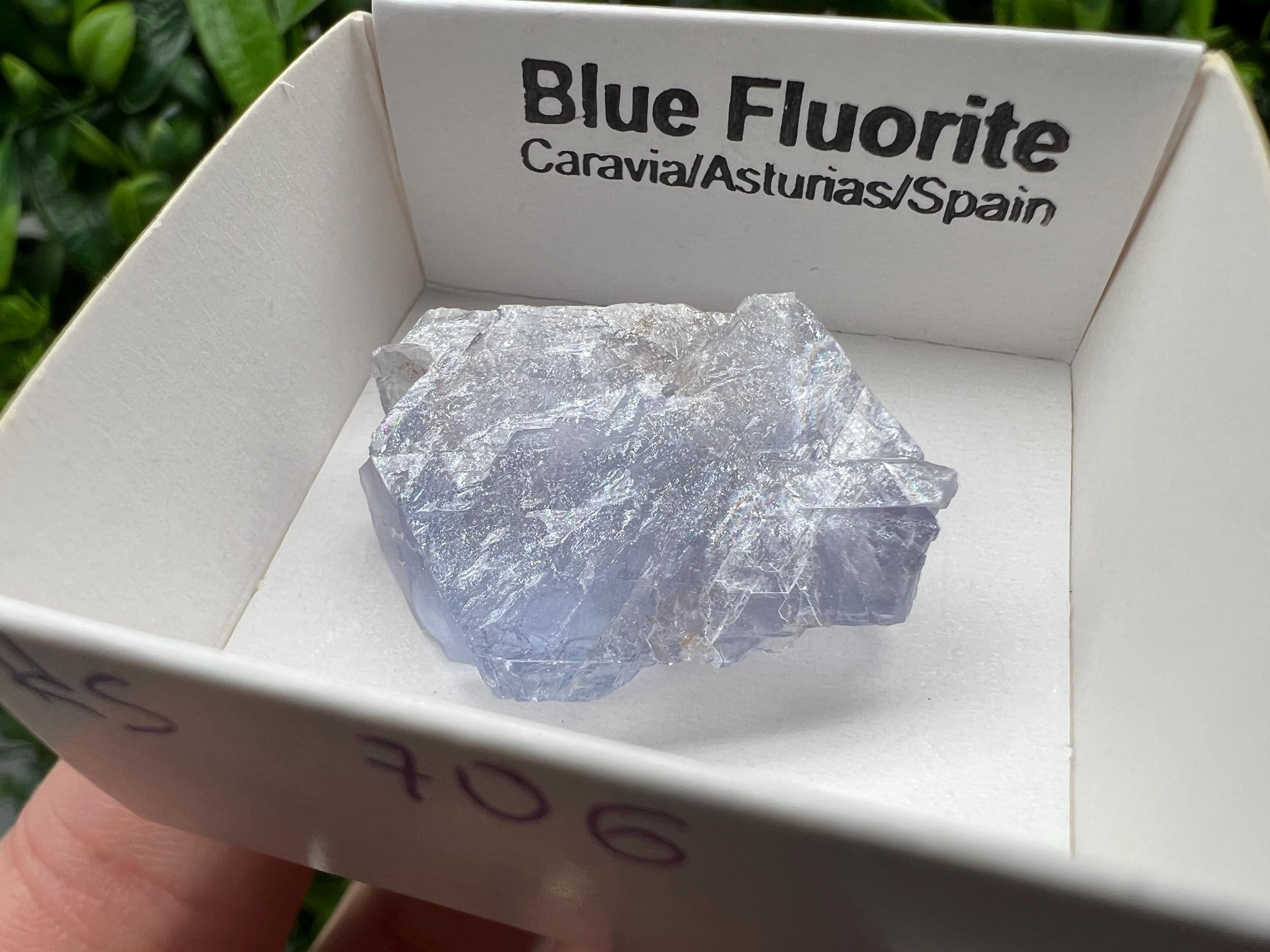 Blue Fluorite Mineral Specimen: Spain Collection (3/2.5 cm